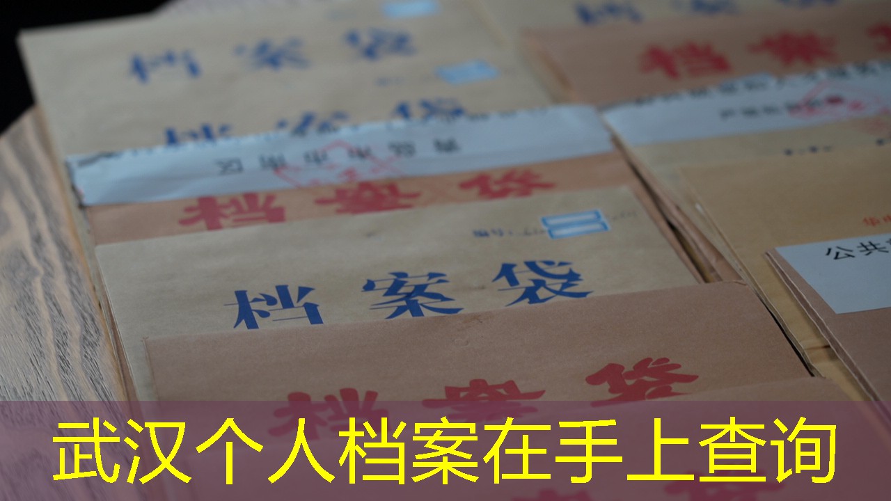 档案查询