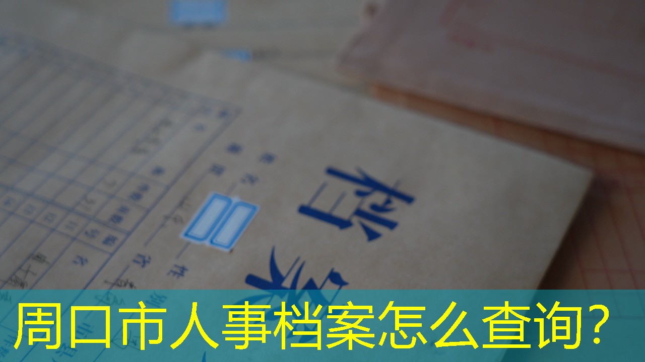 档案查询