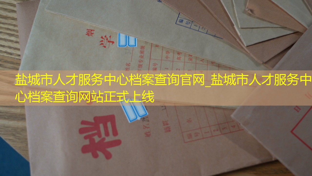 档案查询
