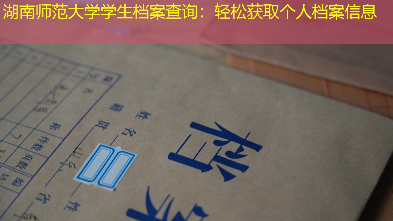 档案查询