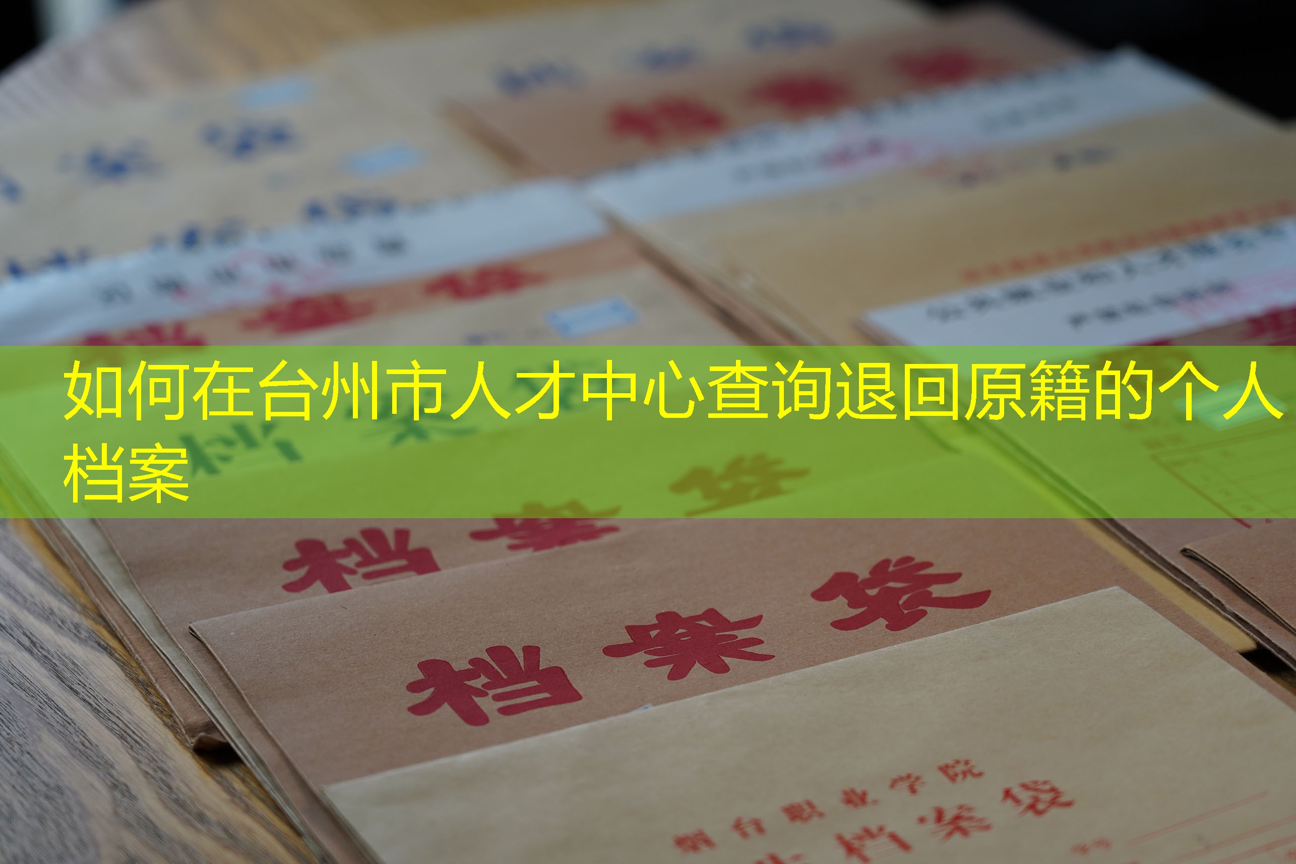 档案查询