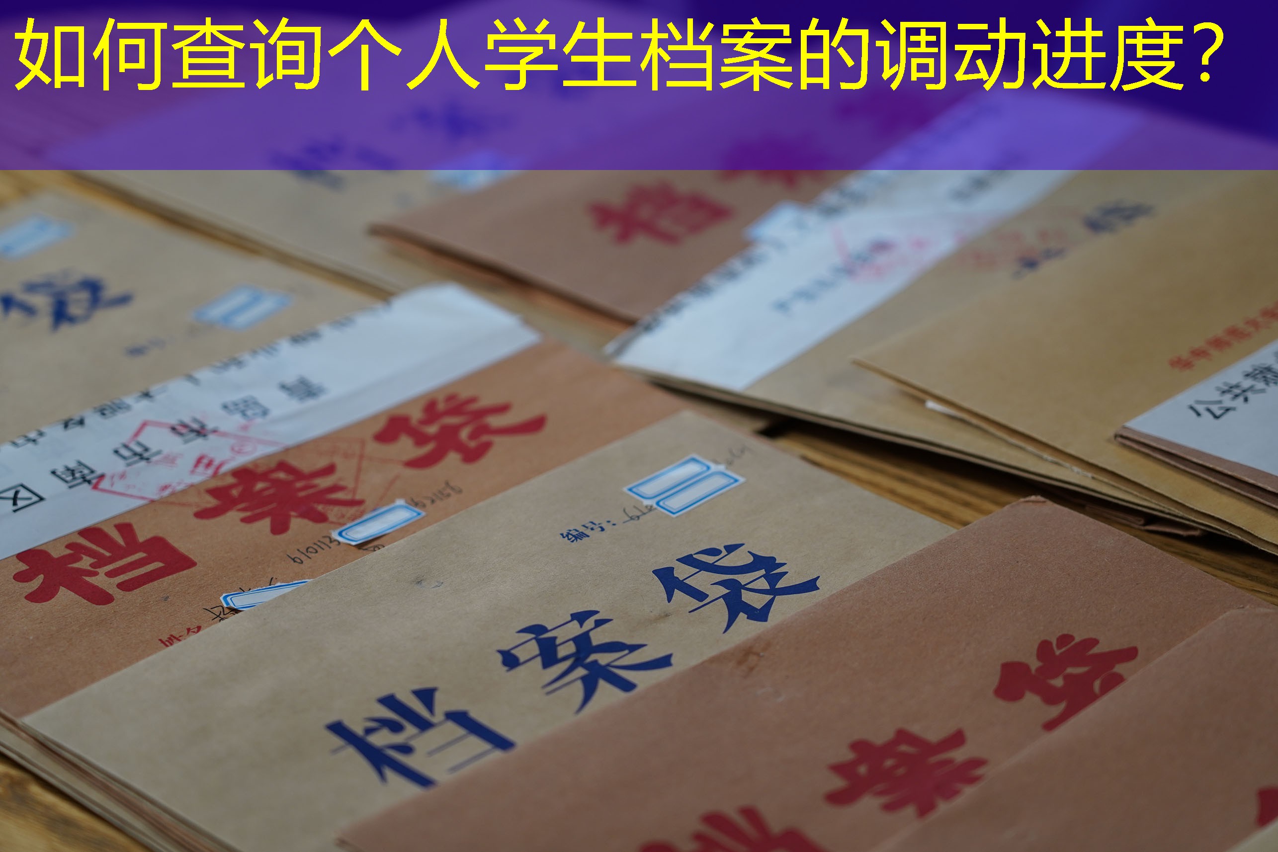 档案查询