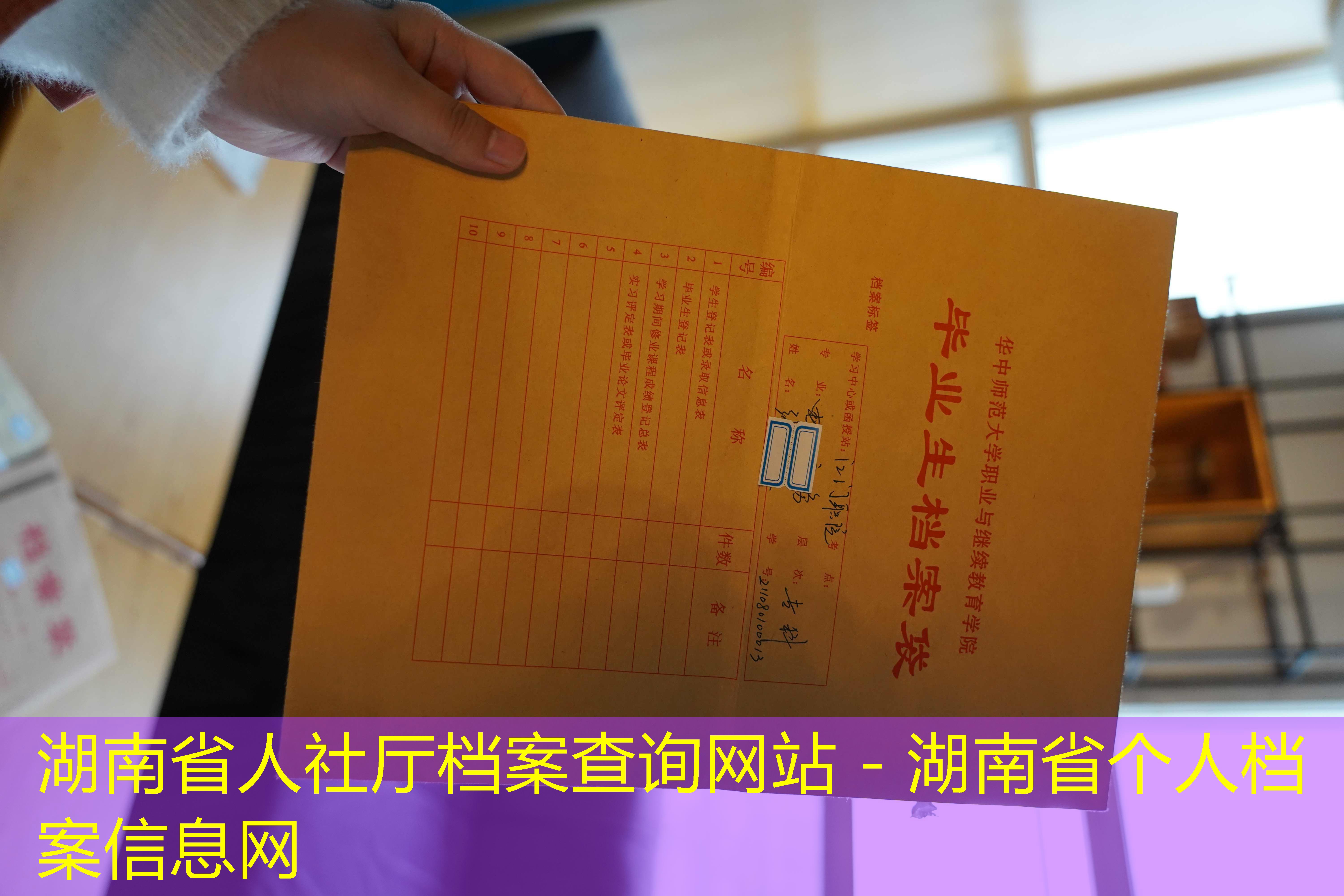 档案查询