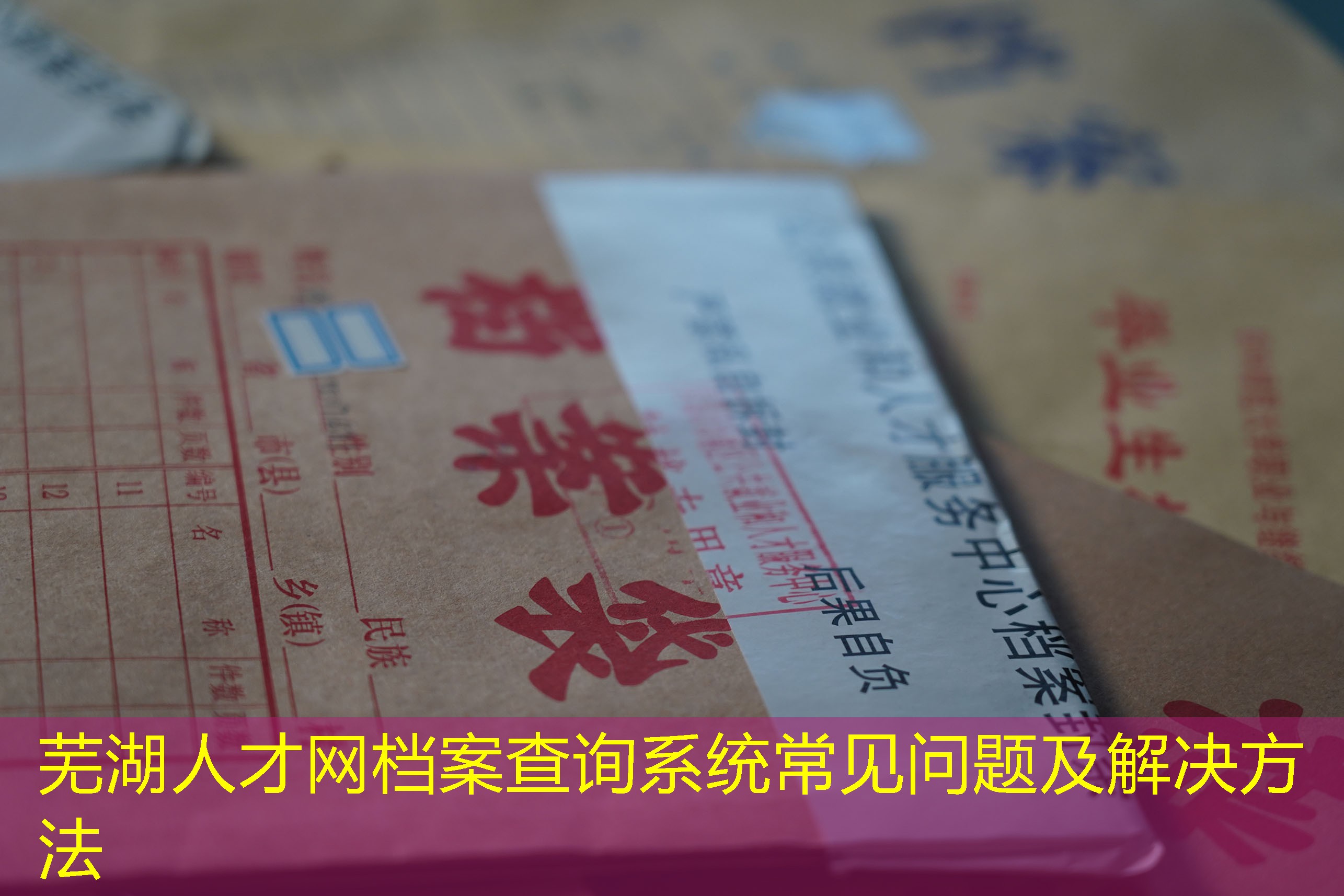 档案查询