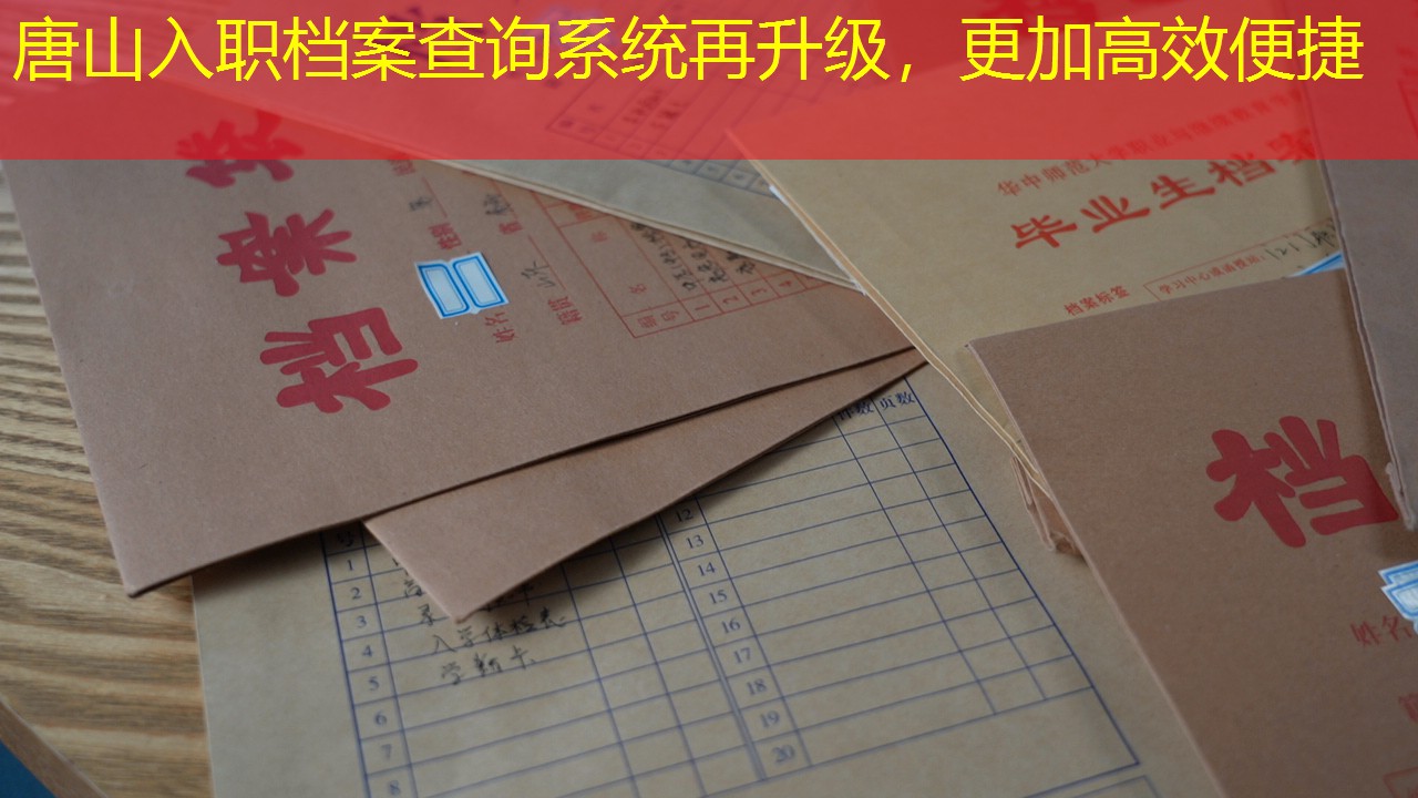 档案查询