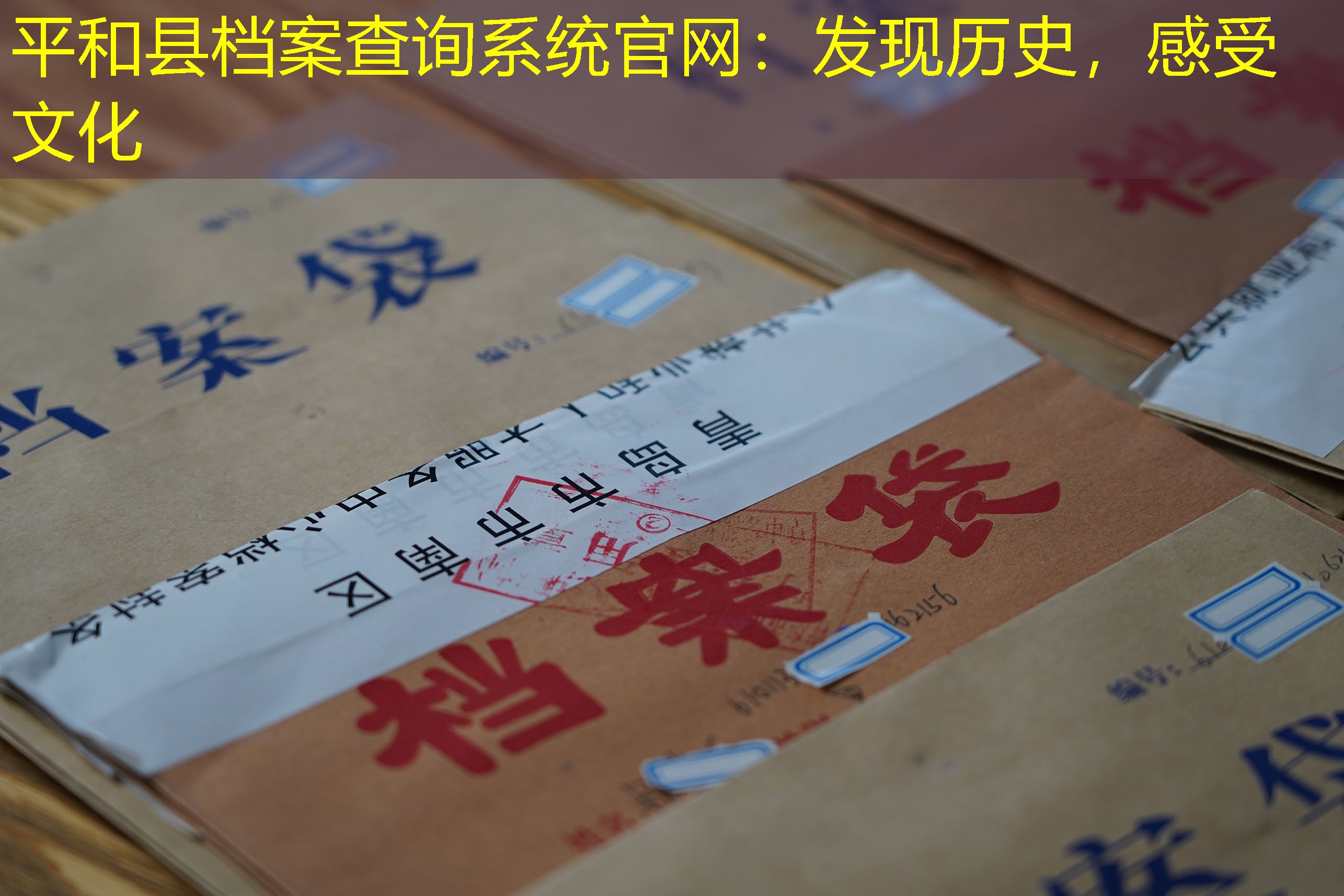 档案查询