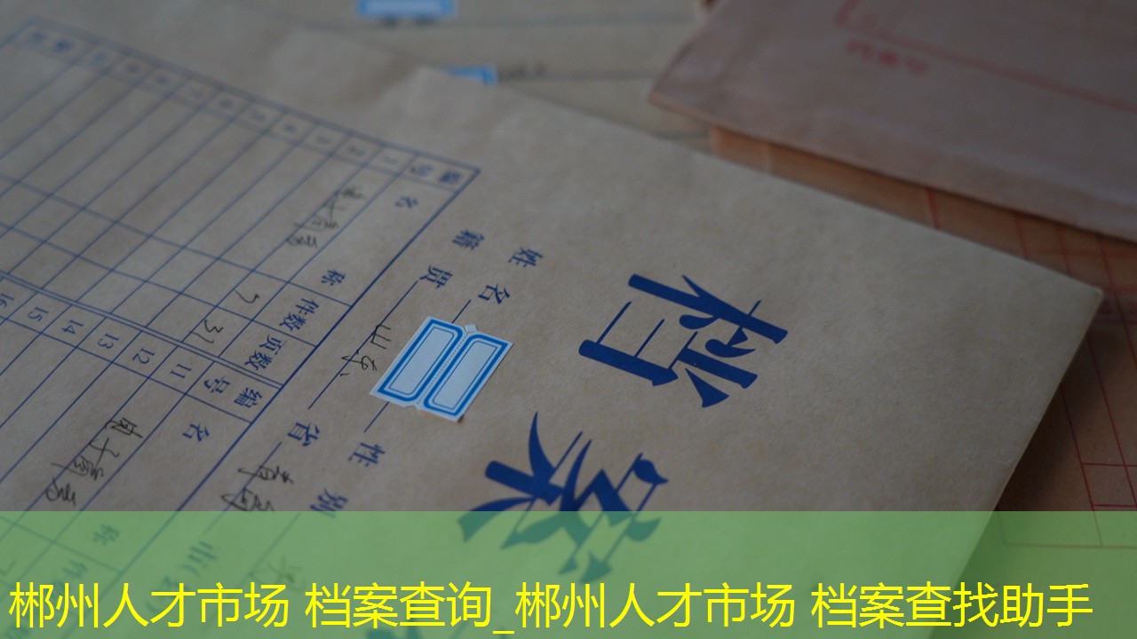 档案查询