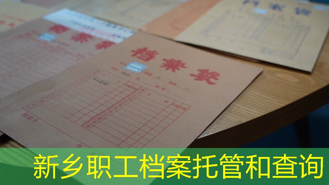 档案查询