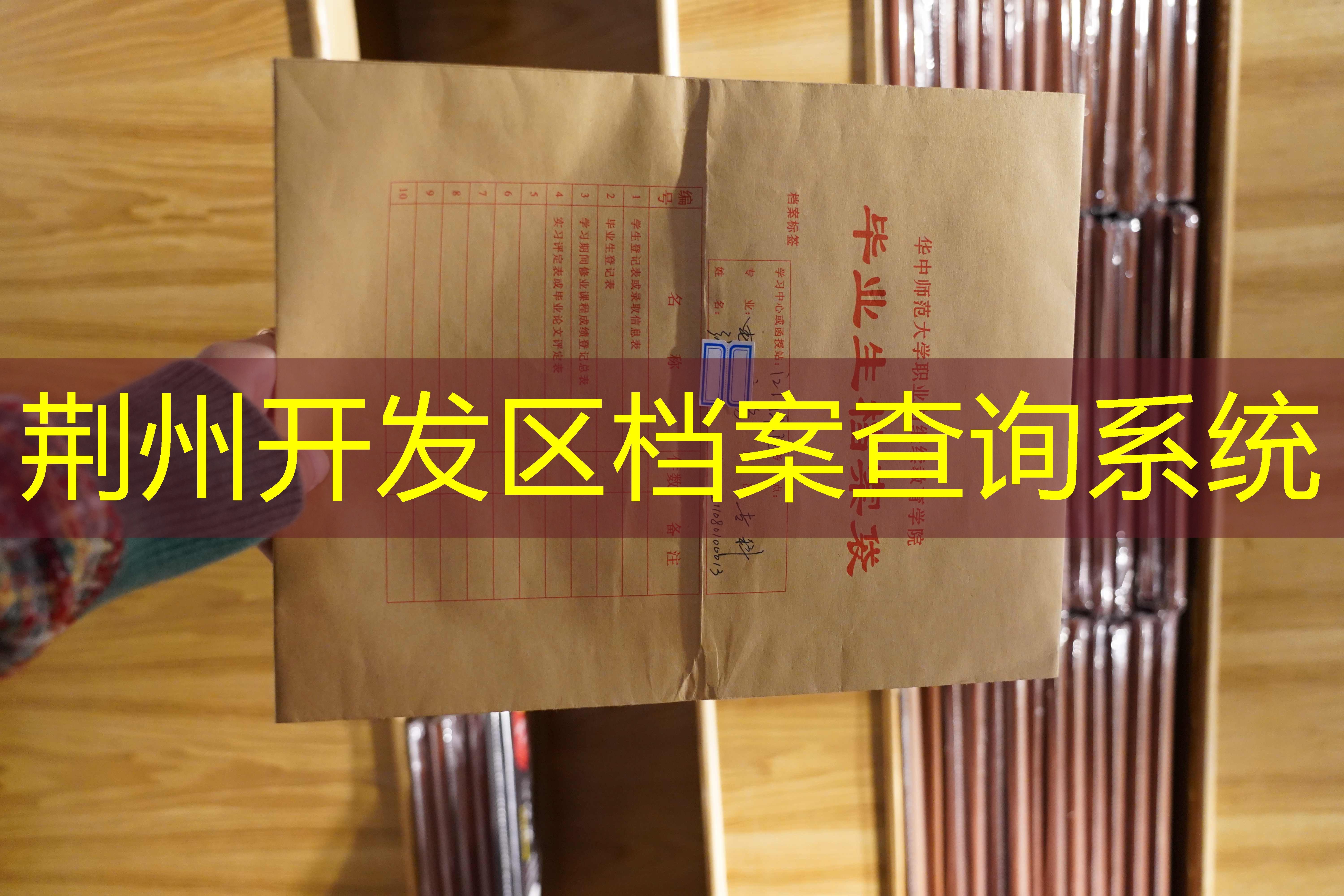 档案查询