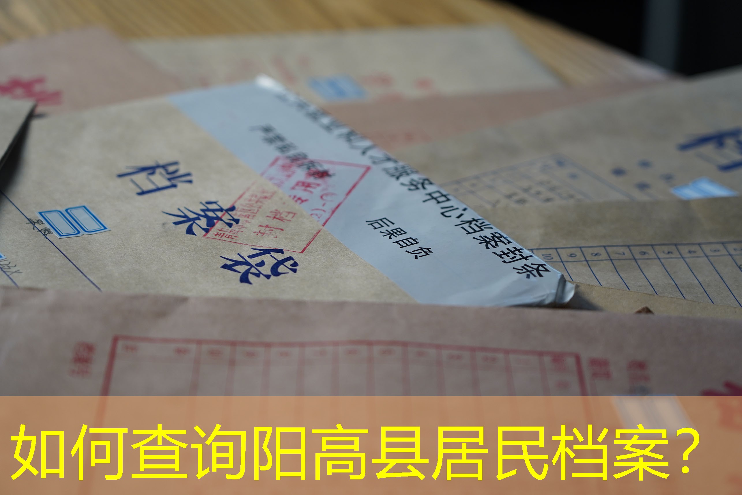 档案查询