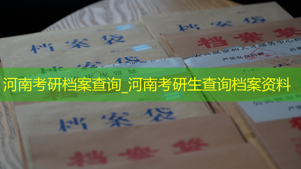 档案查询