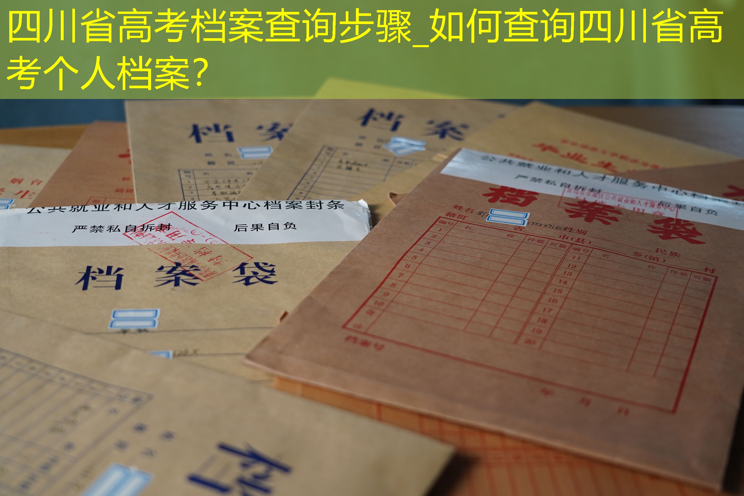 档案查询