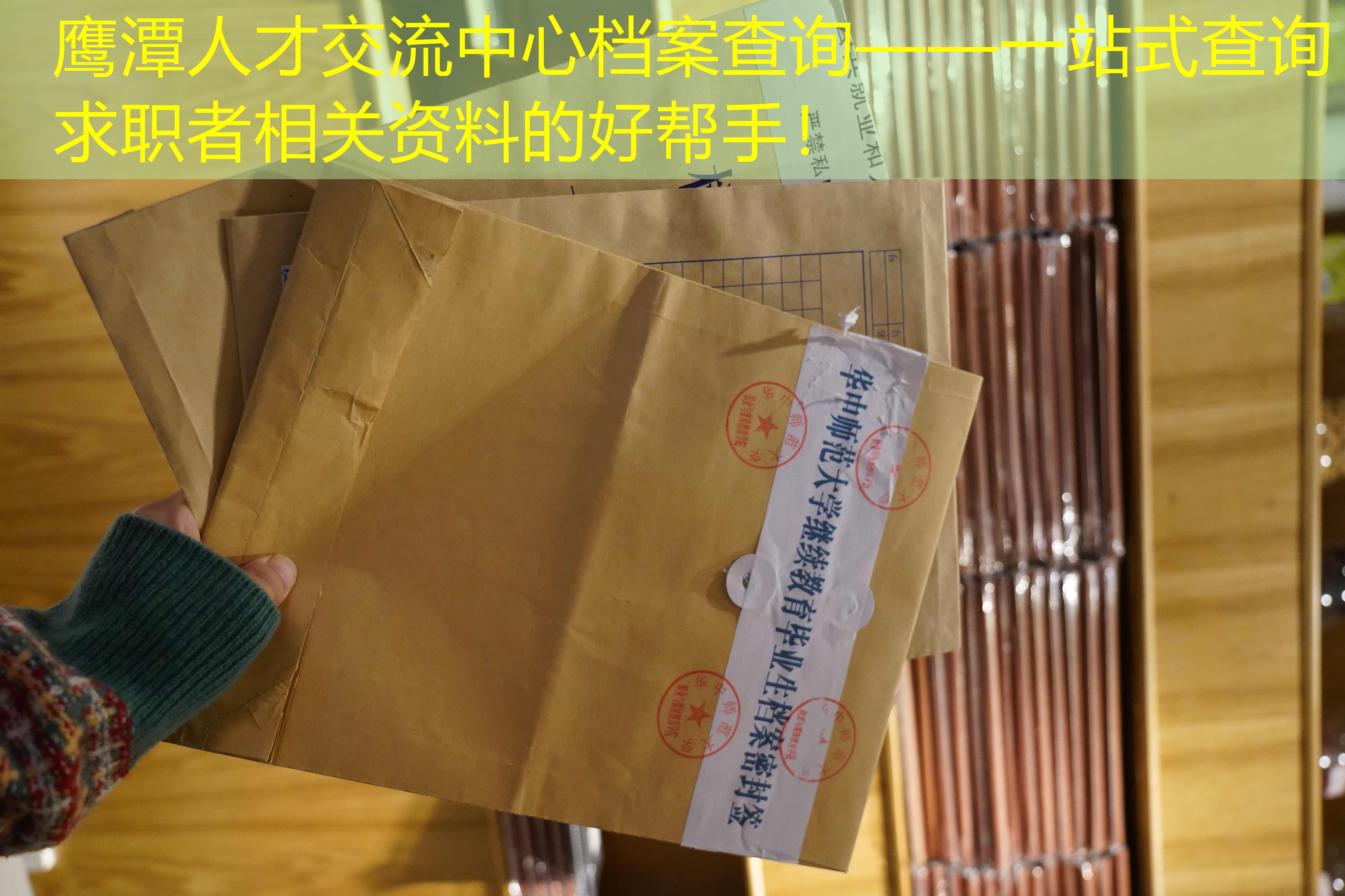 档案查询