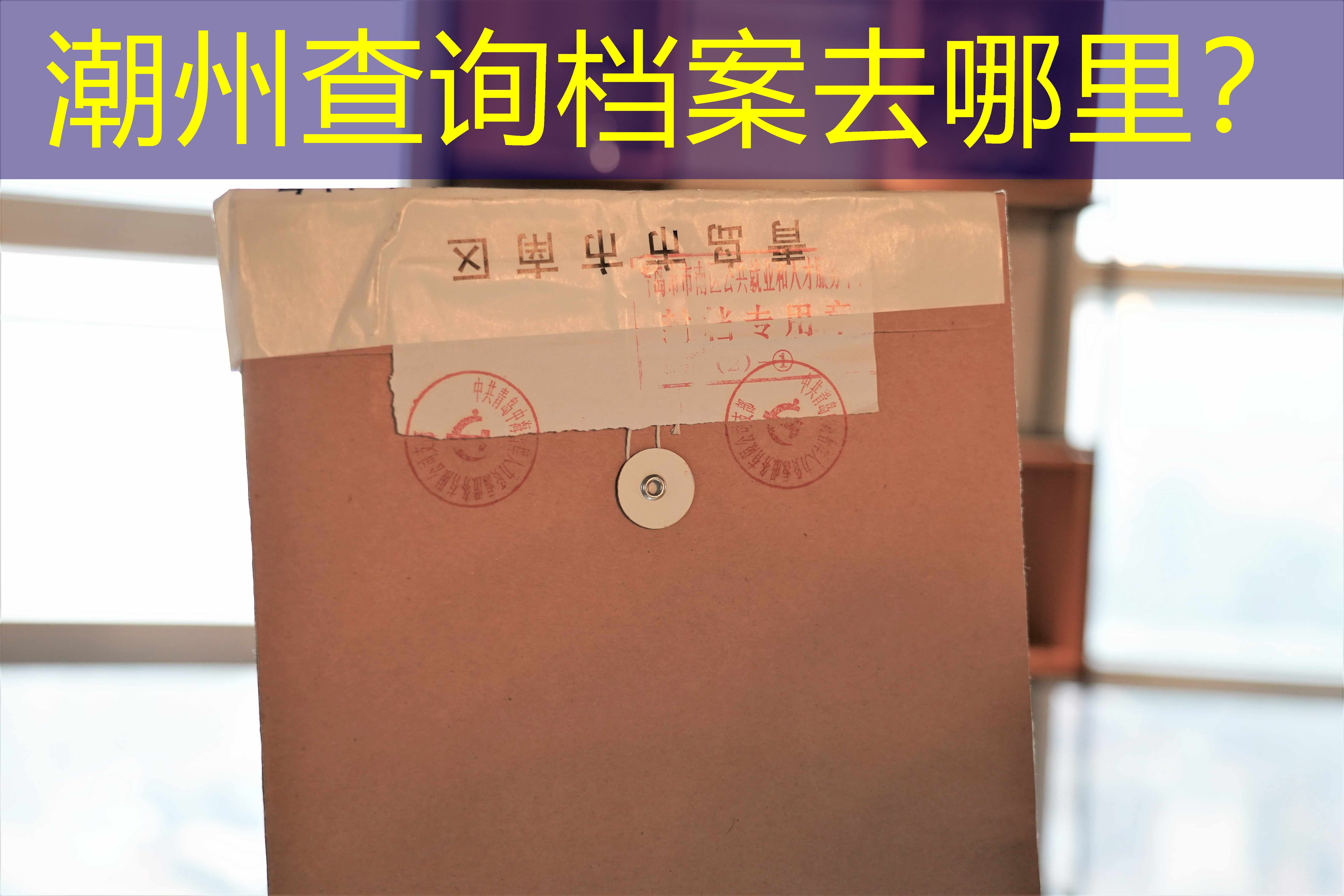 档案查询