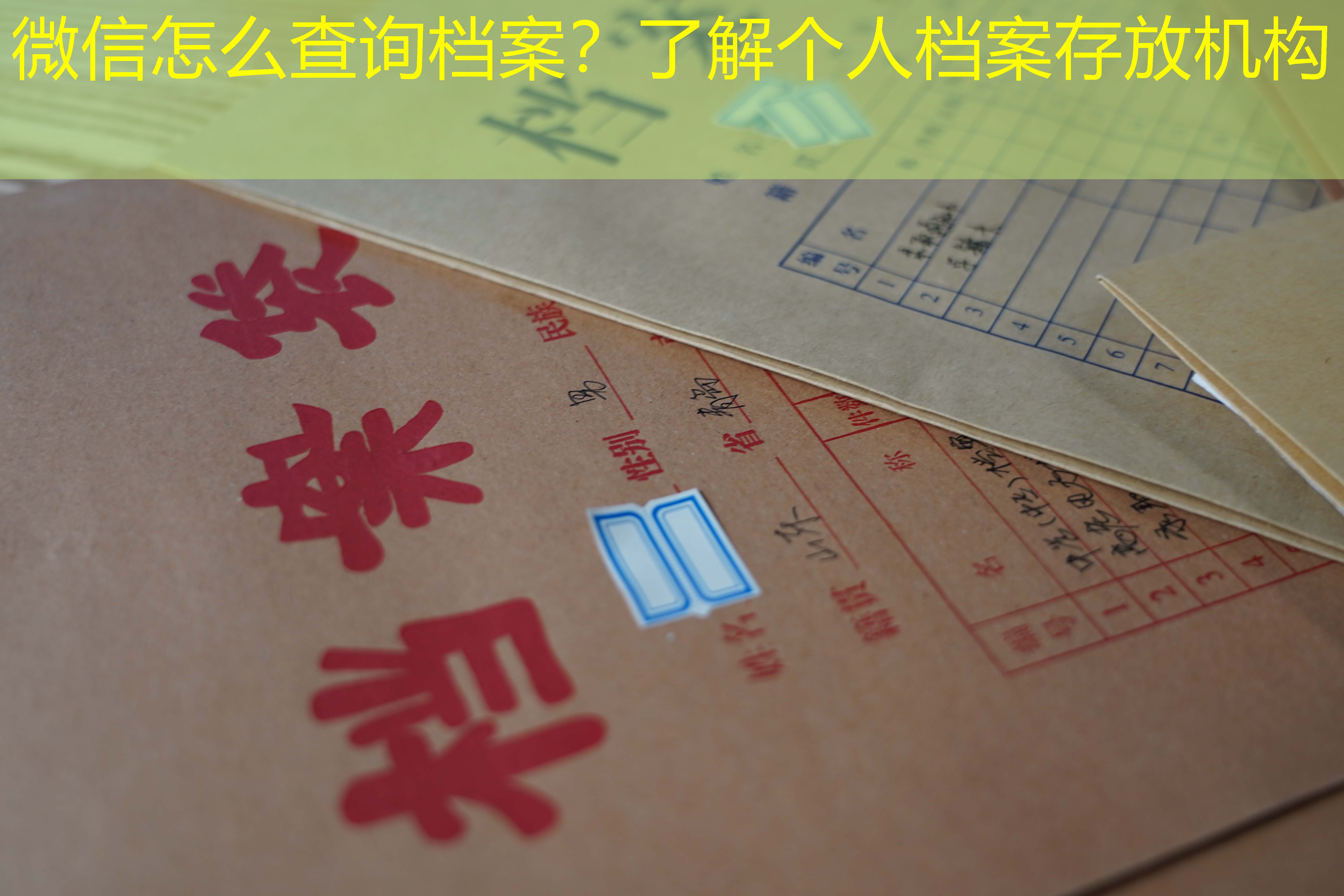 档案查询