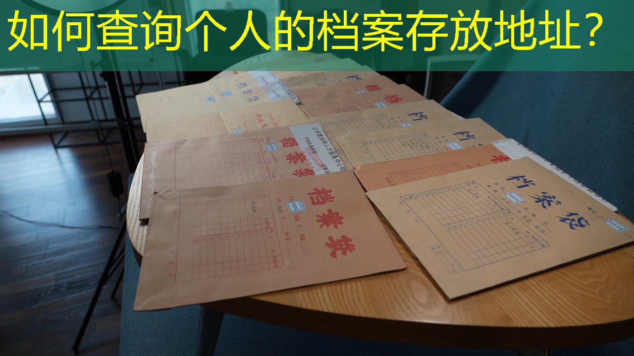 档案查询