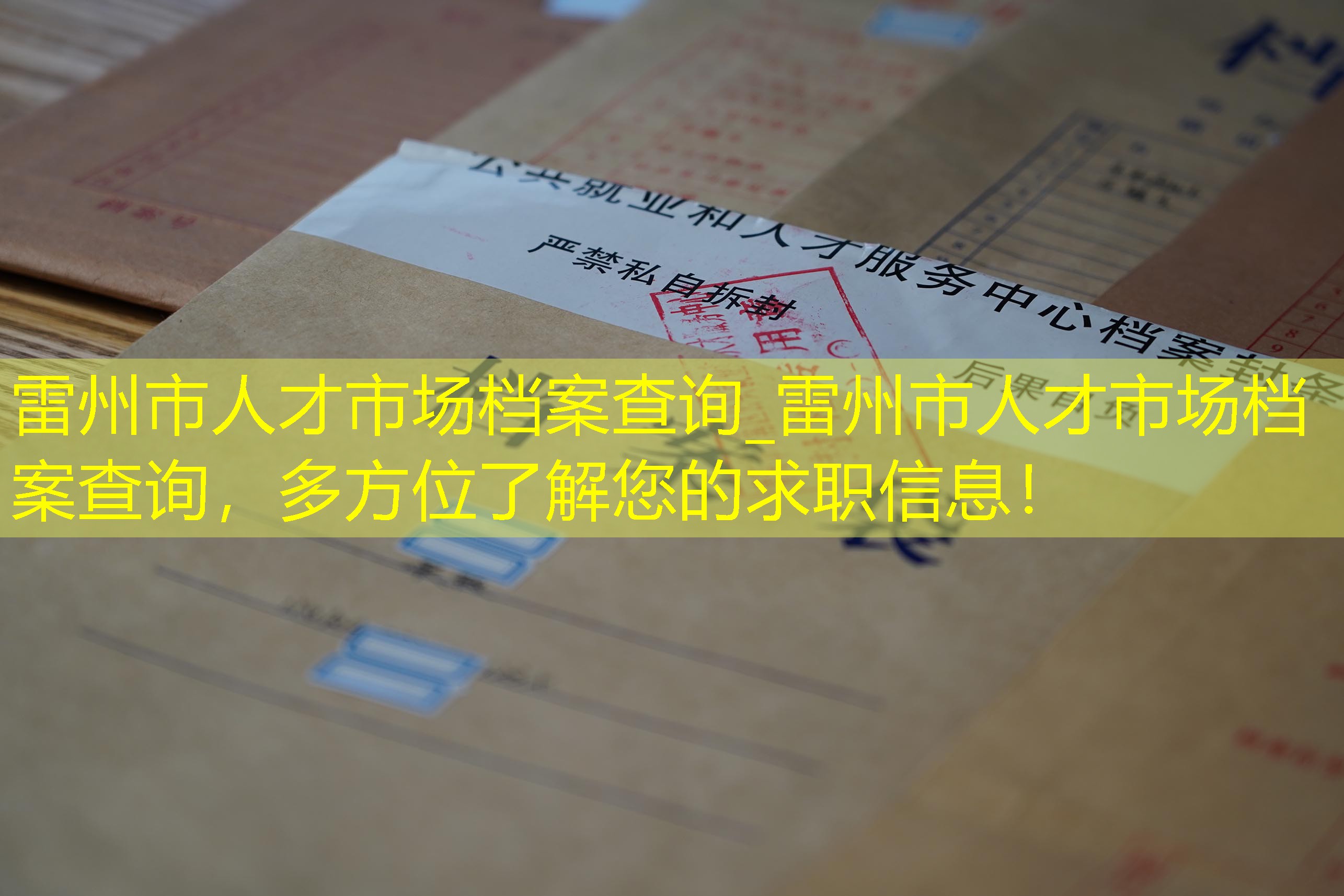 档案查询