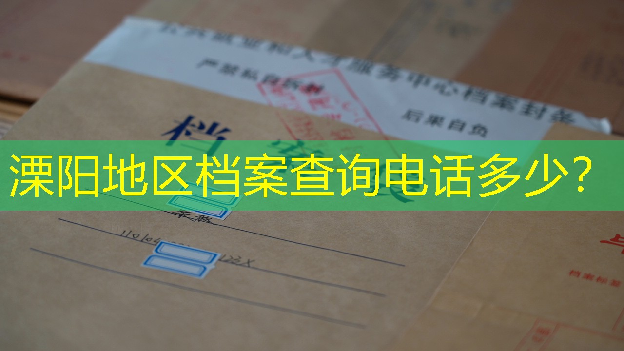 档案查询