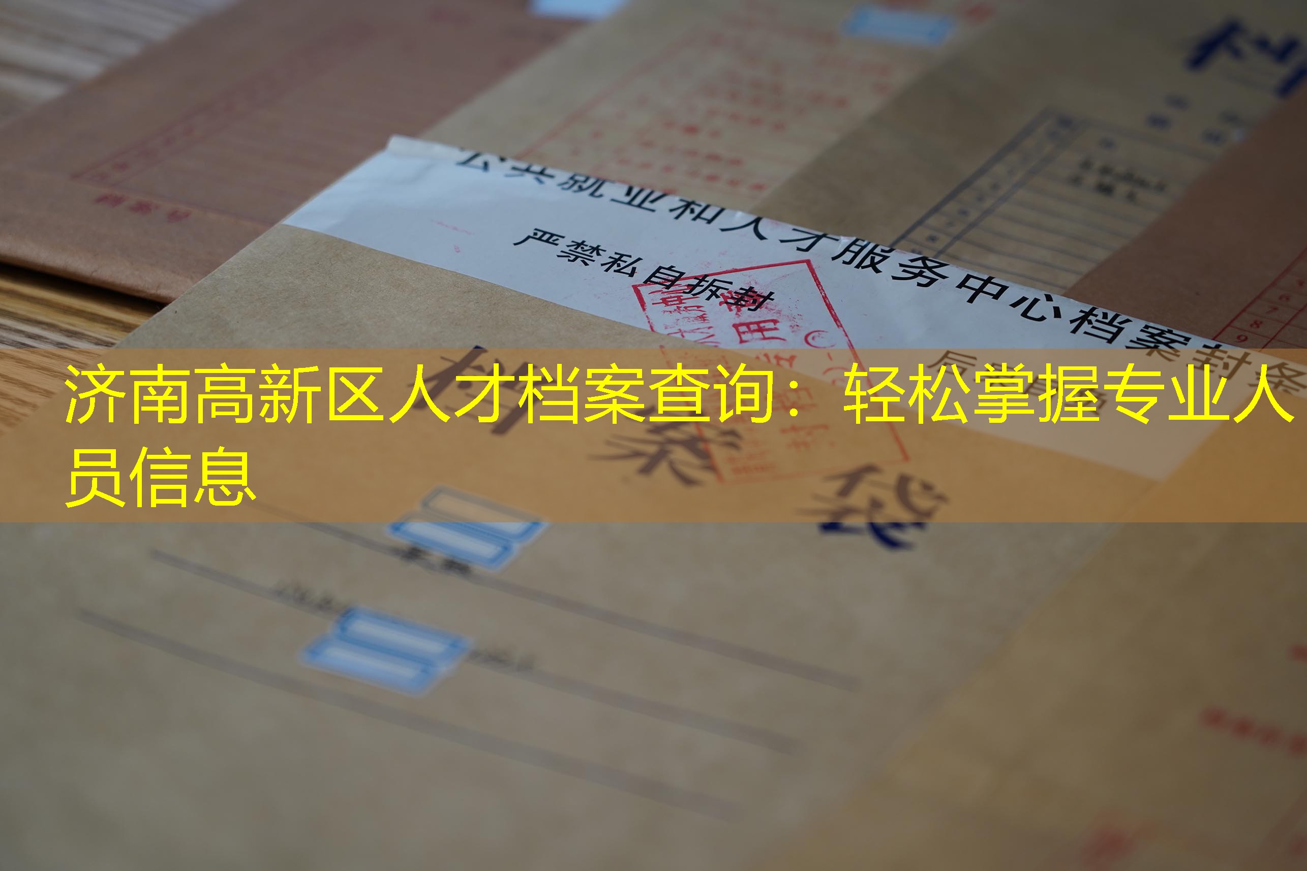 档案查询