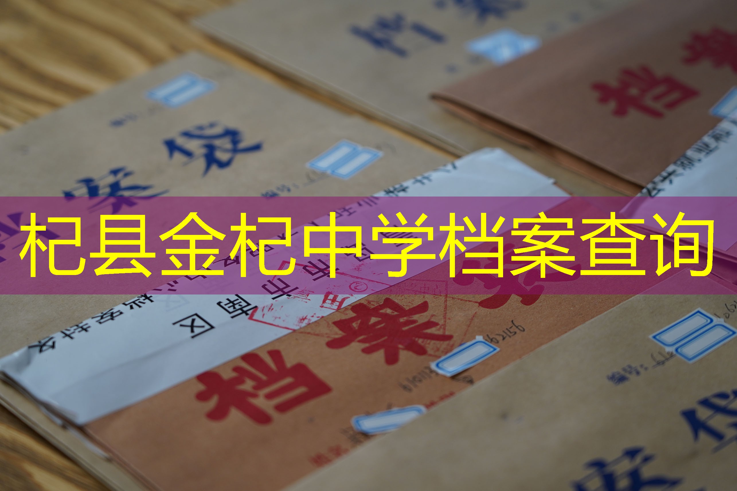 档案查询
