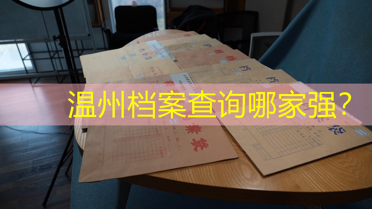 档案查询