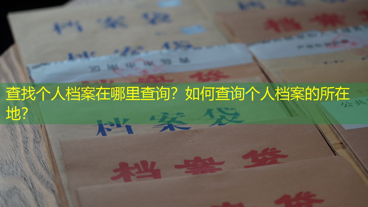 档案查询