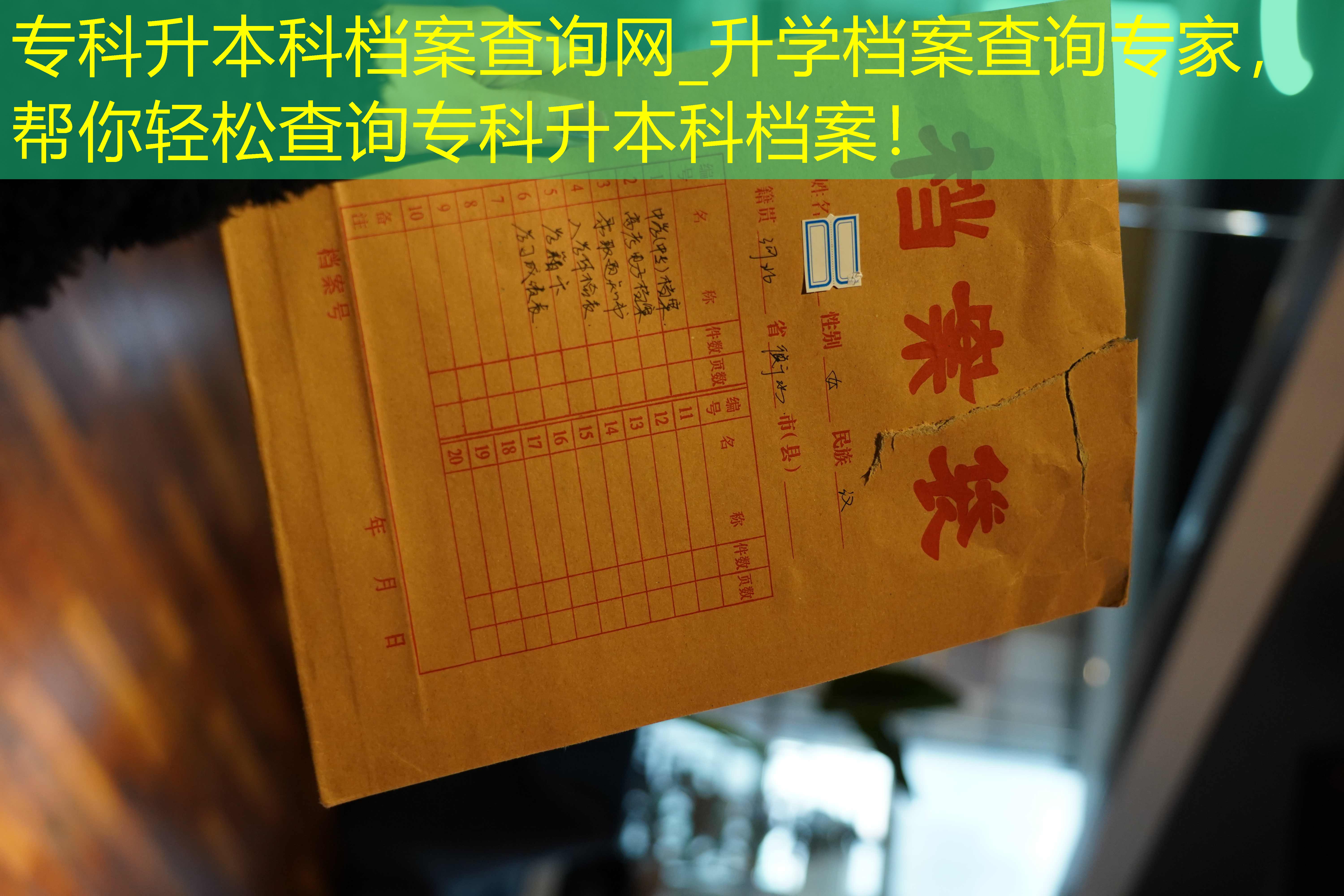 档案查询