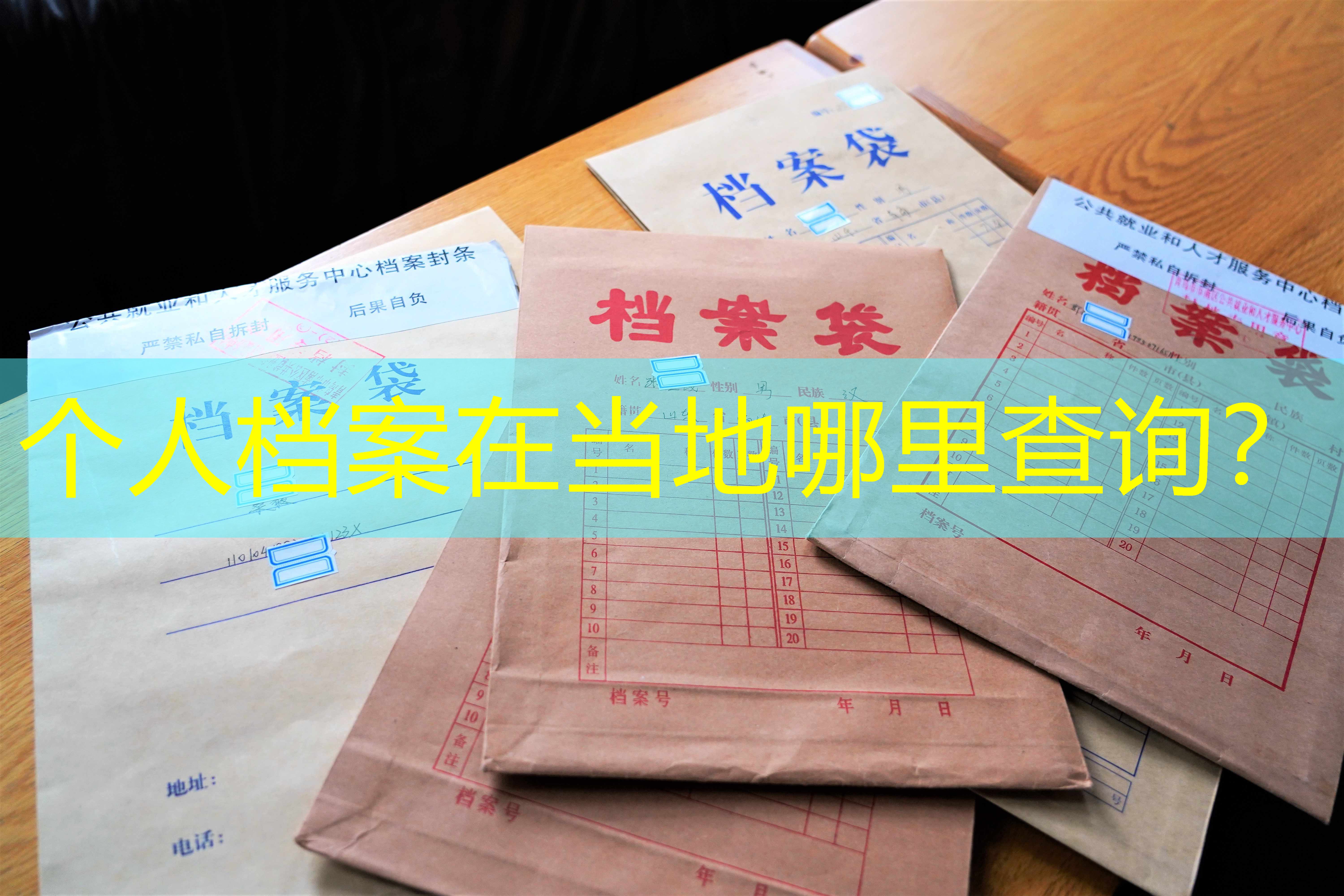 档案查询