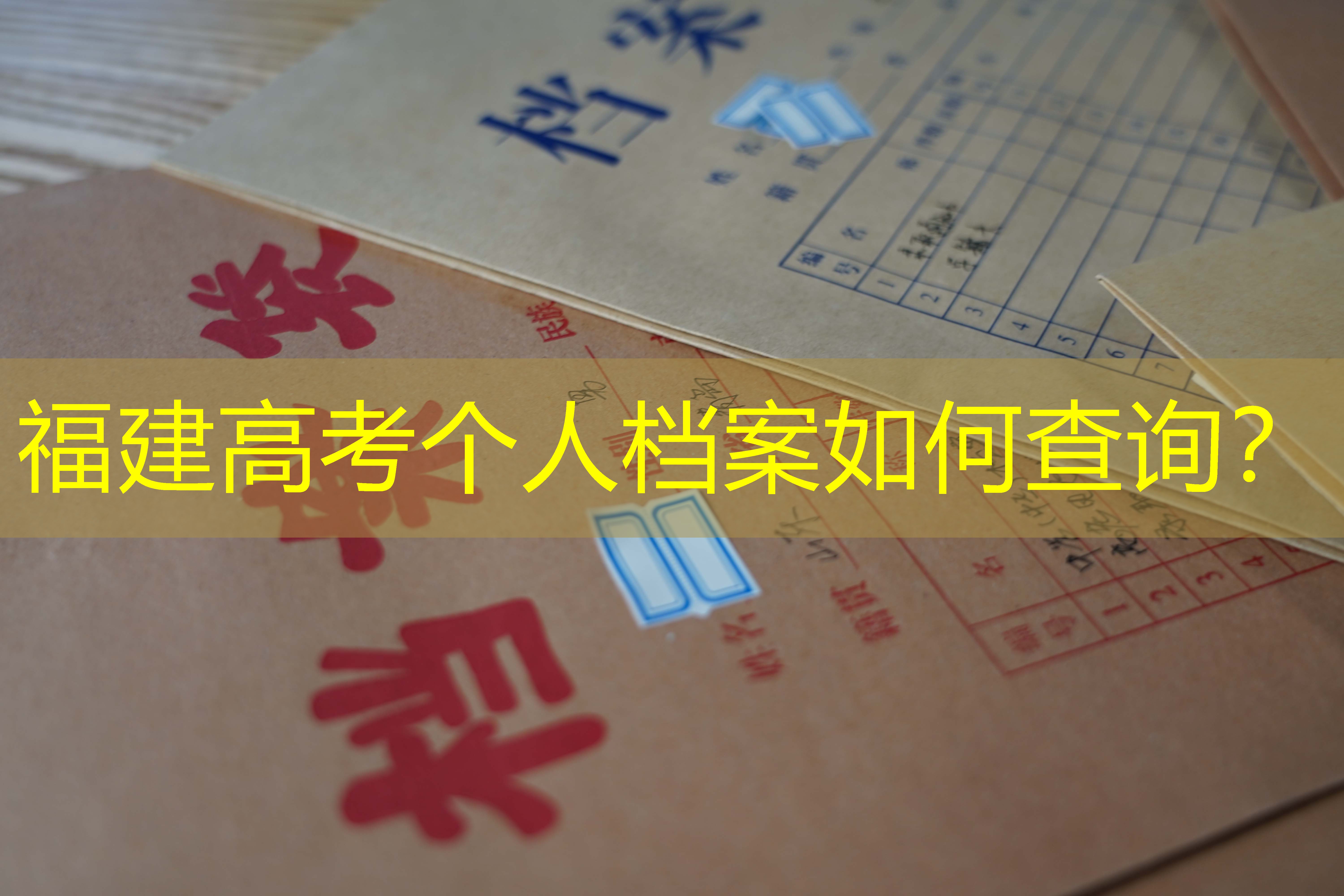 档案查询