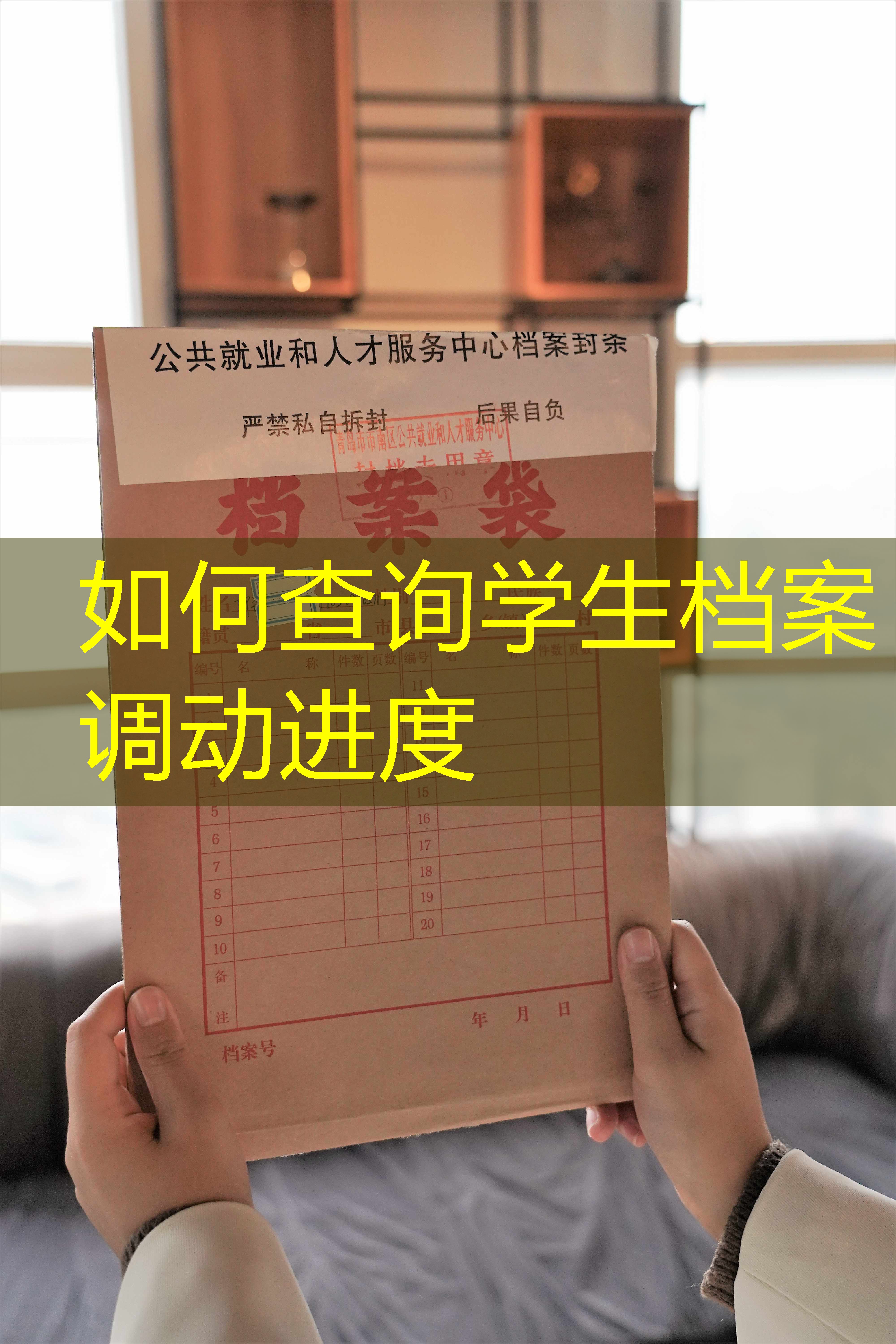 档案查询