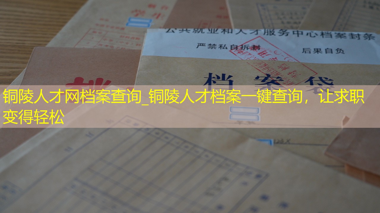 档案查询