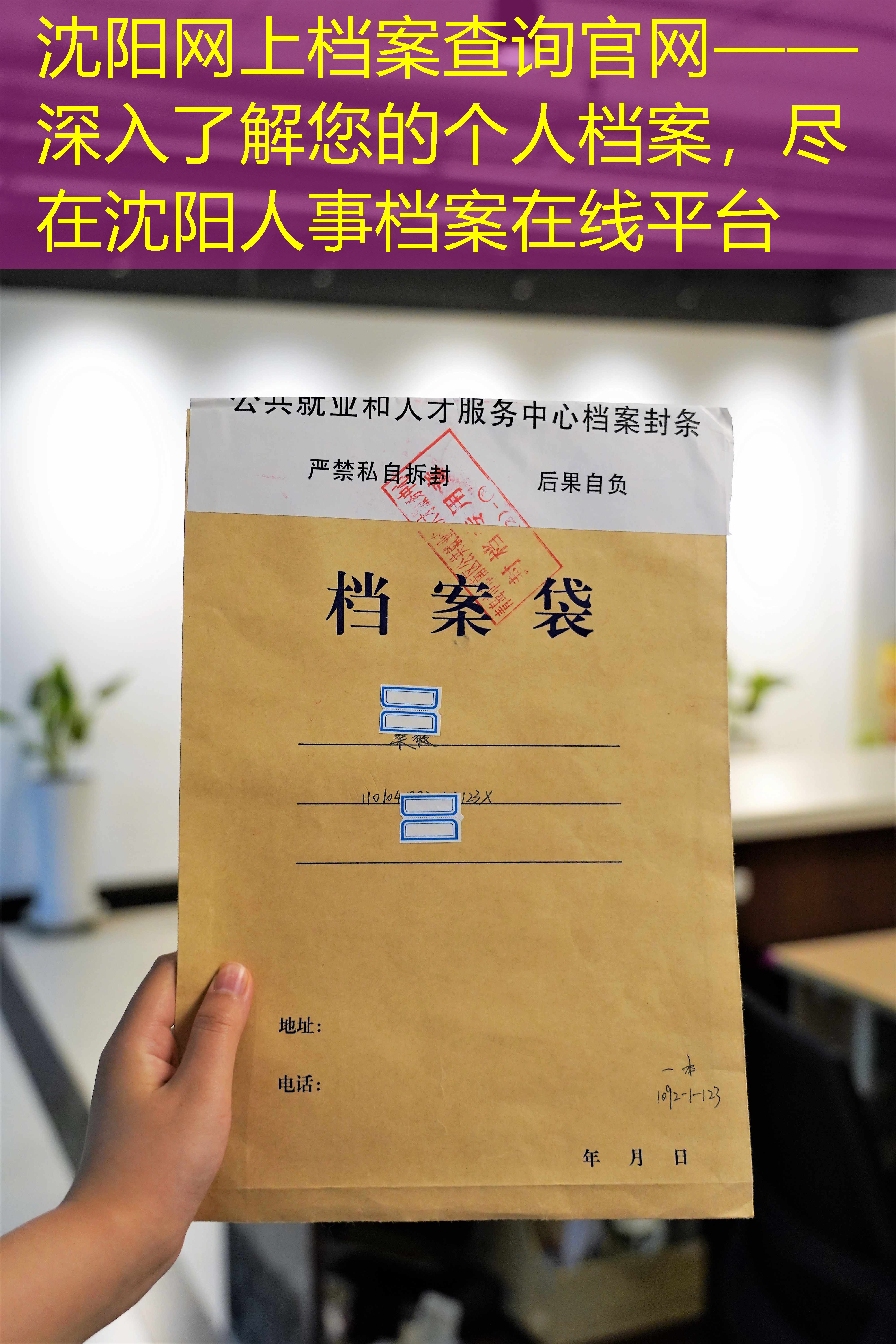 档案查询