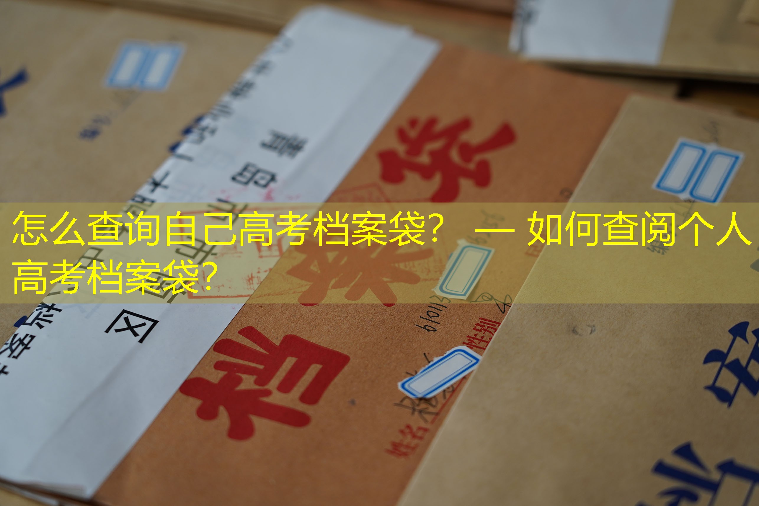 档案查询