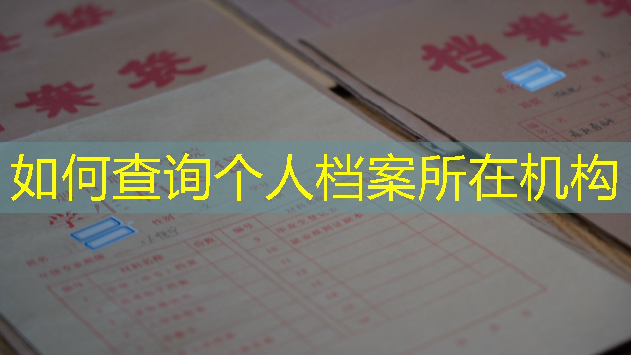 档案查询