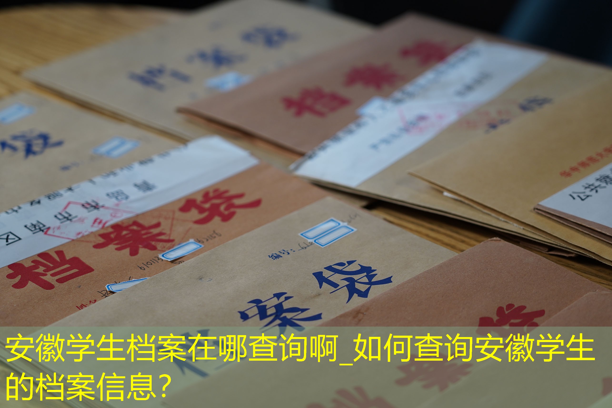 档案查询