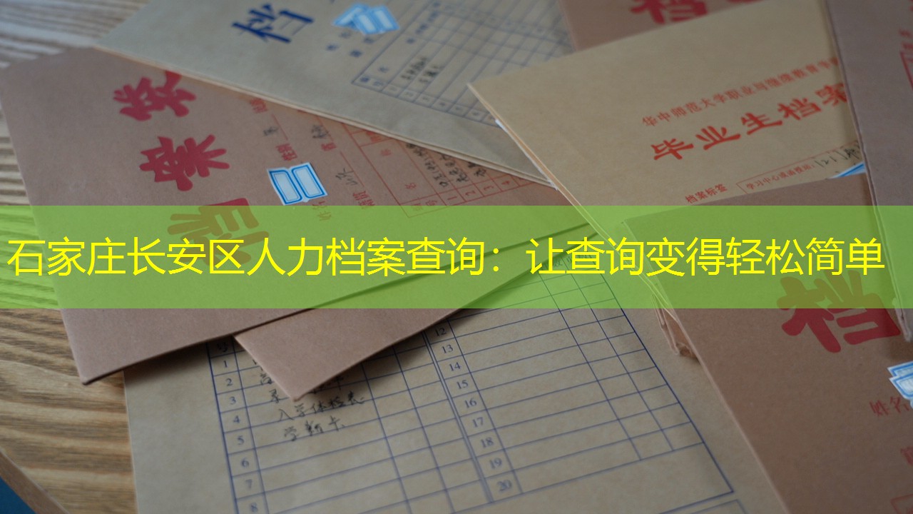 档案查询