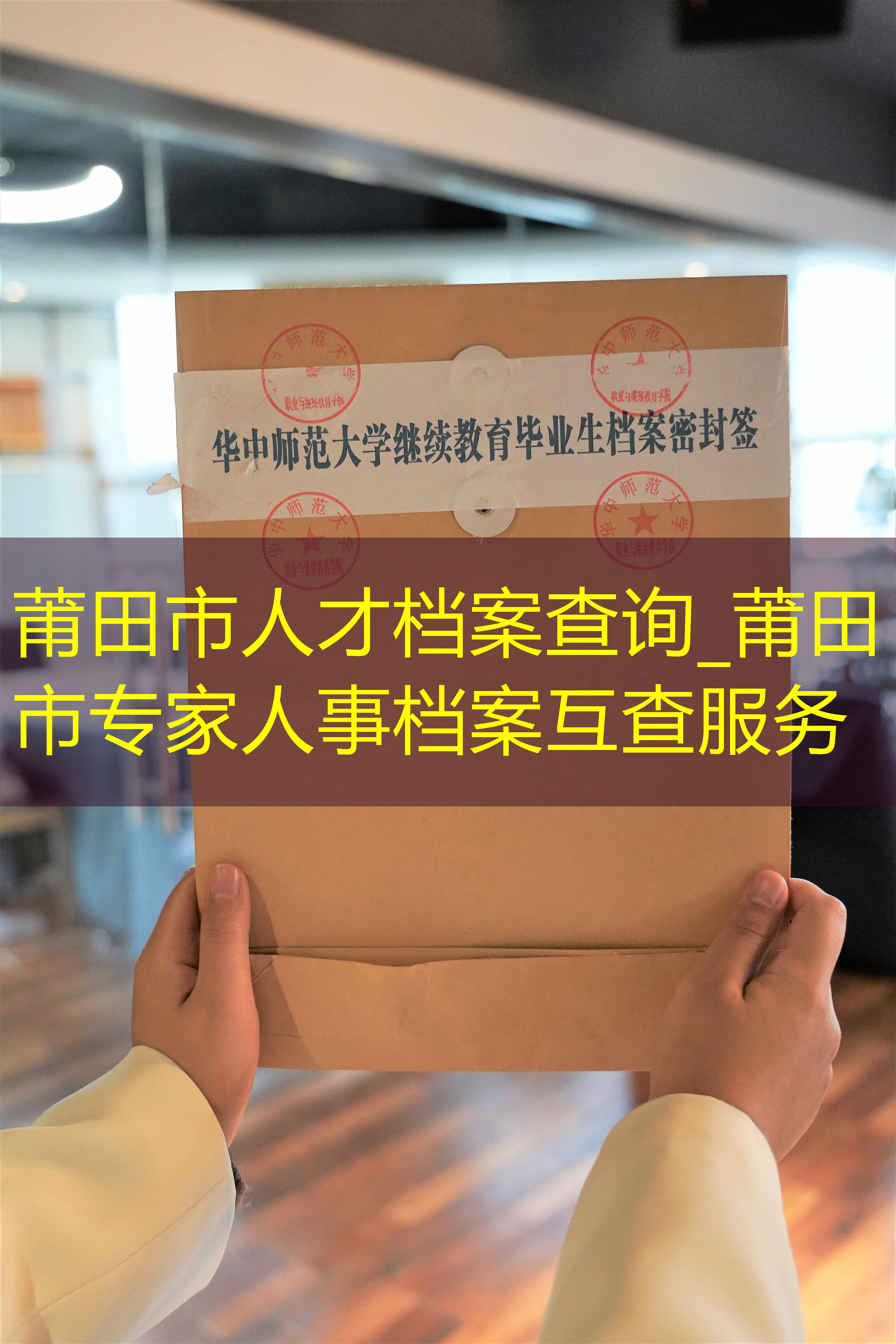 档案查询
