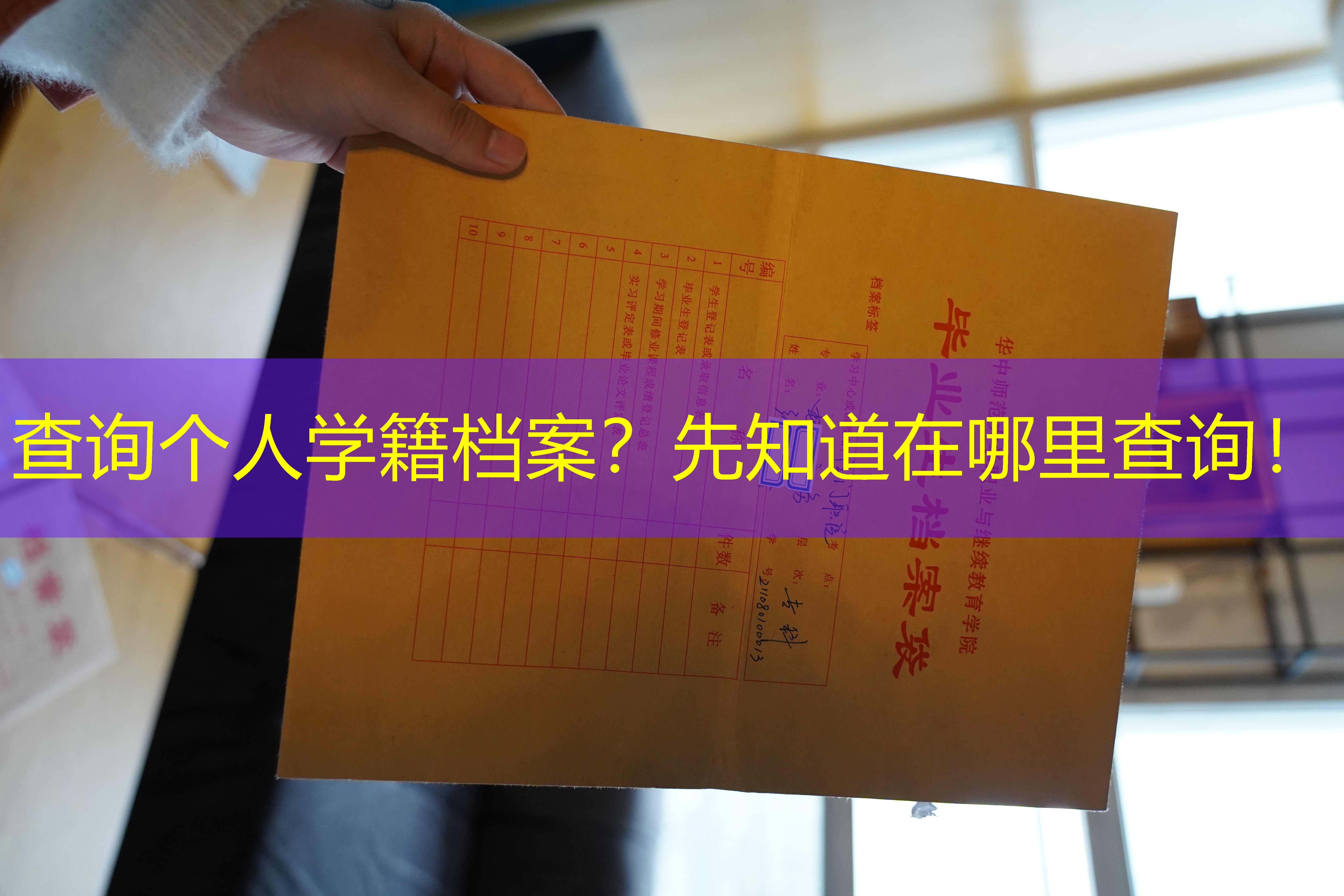 档案查询