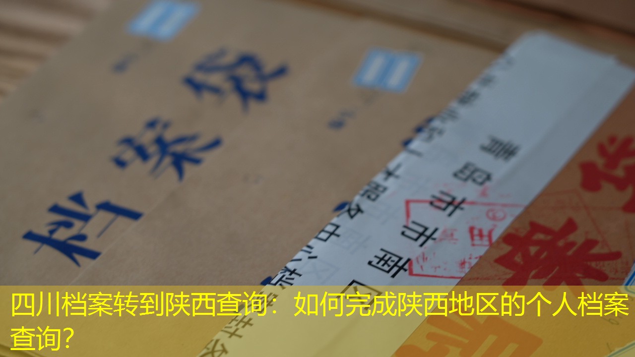 档案查询