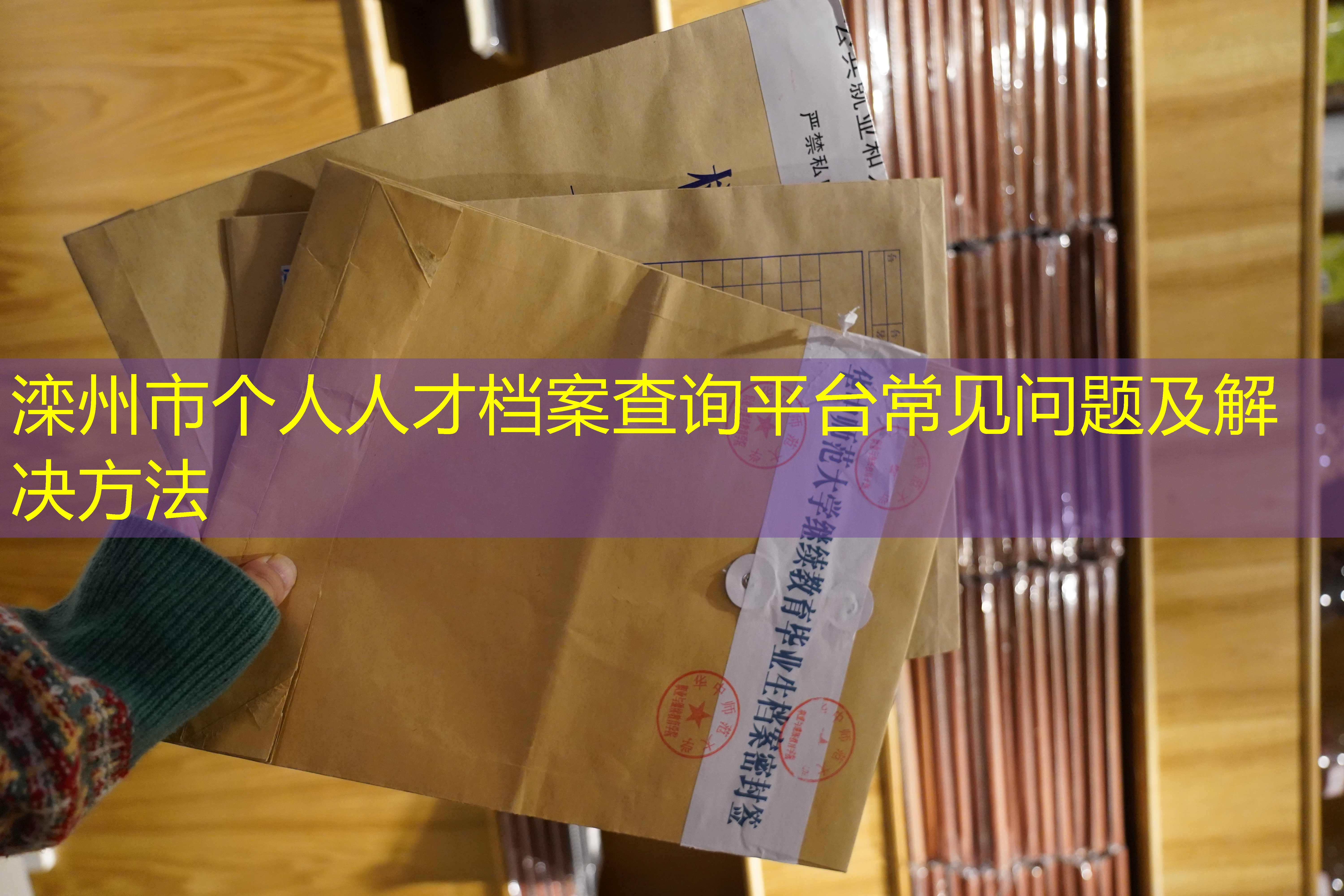 档案查询
