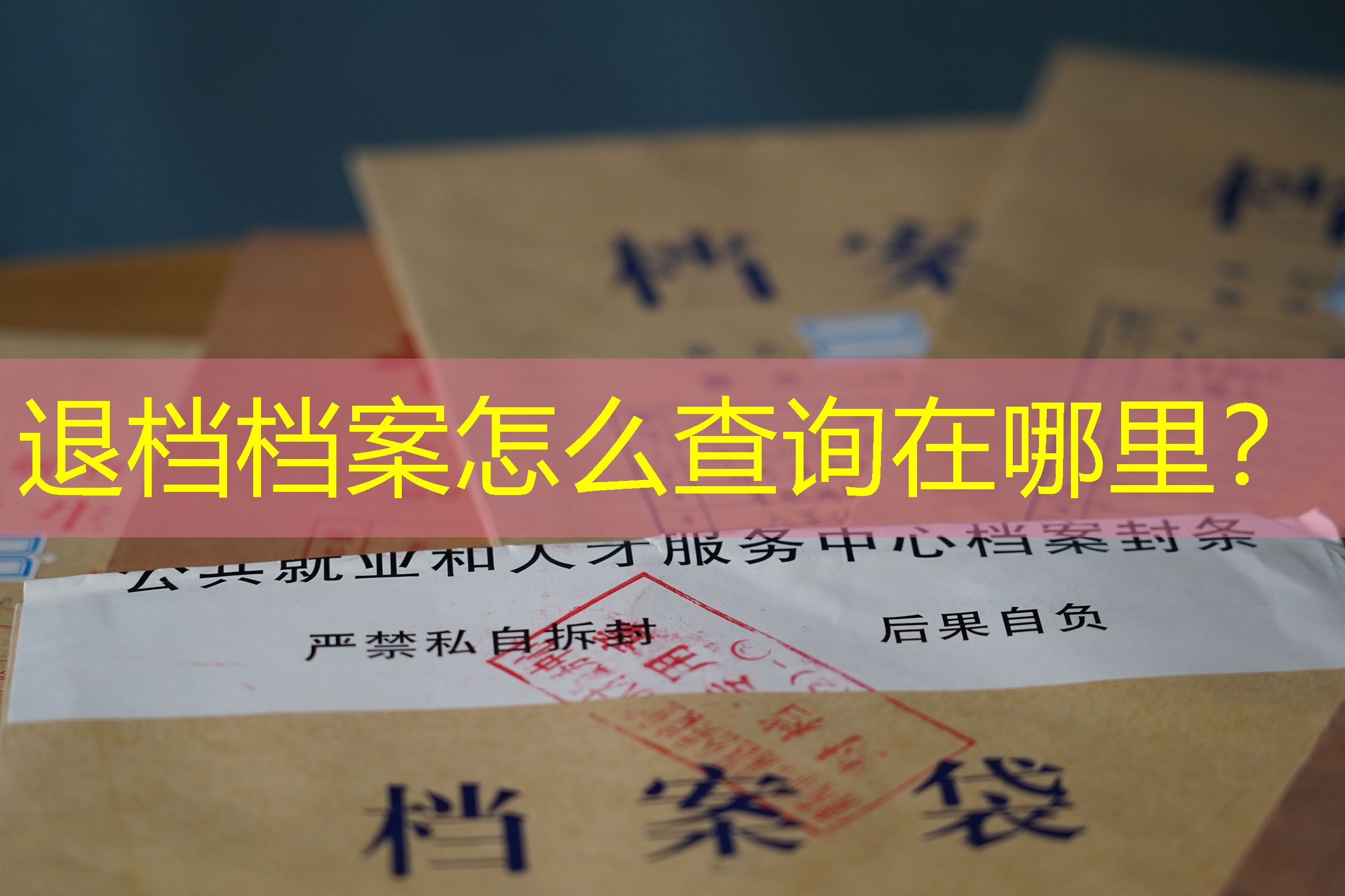 档案查询