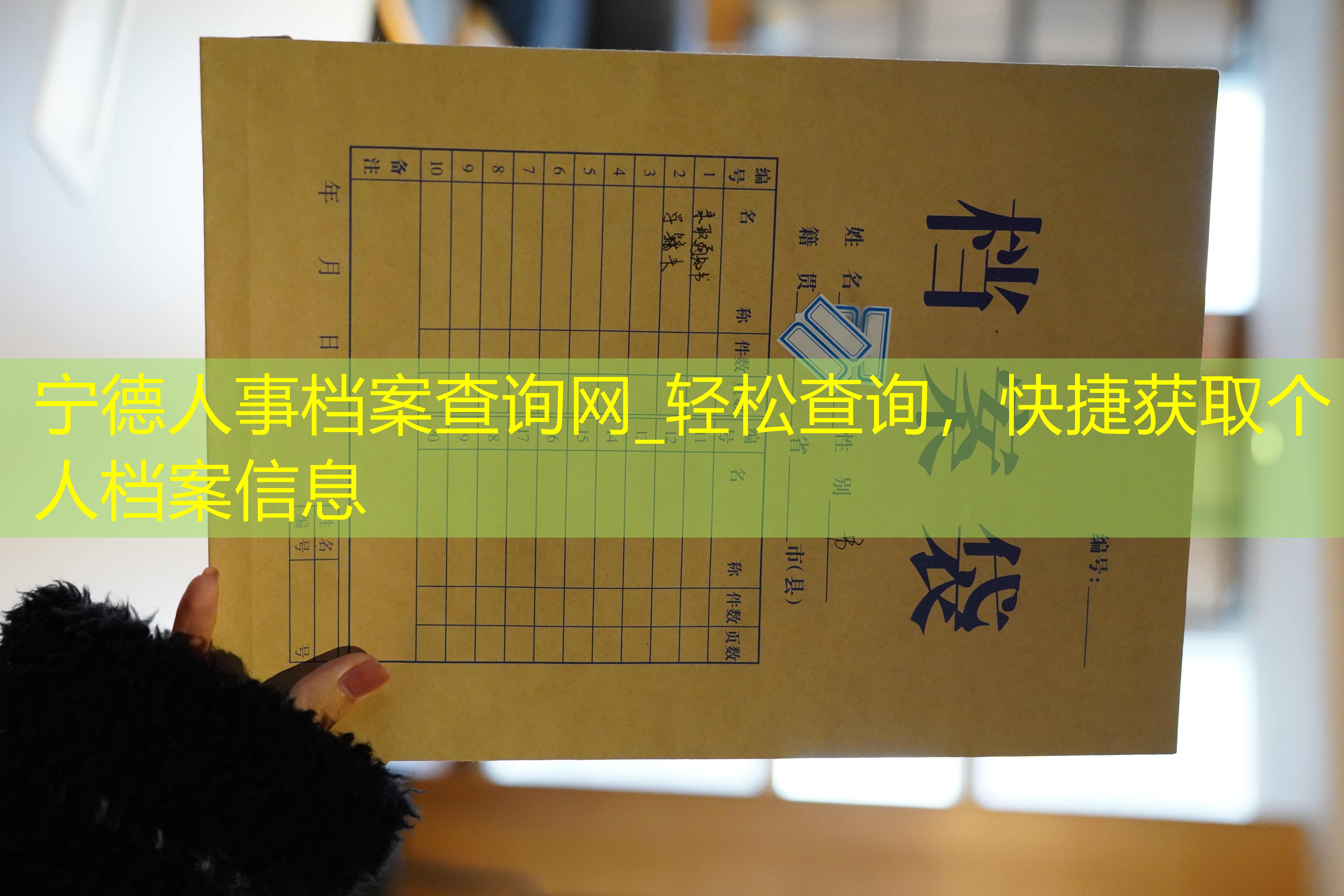 档案查询