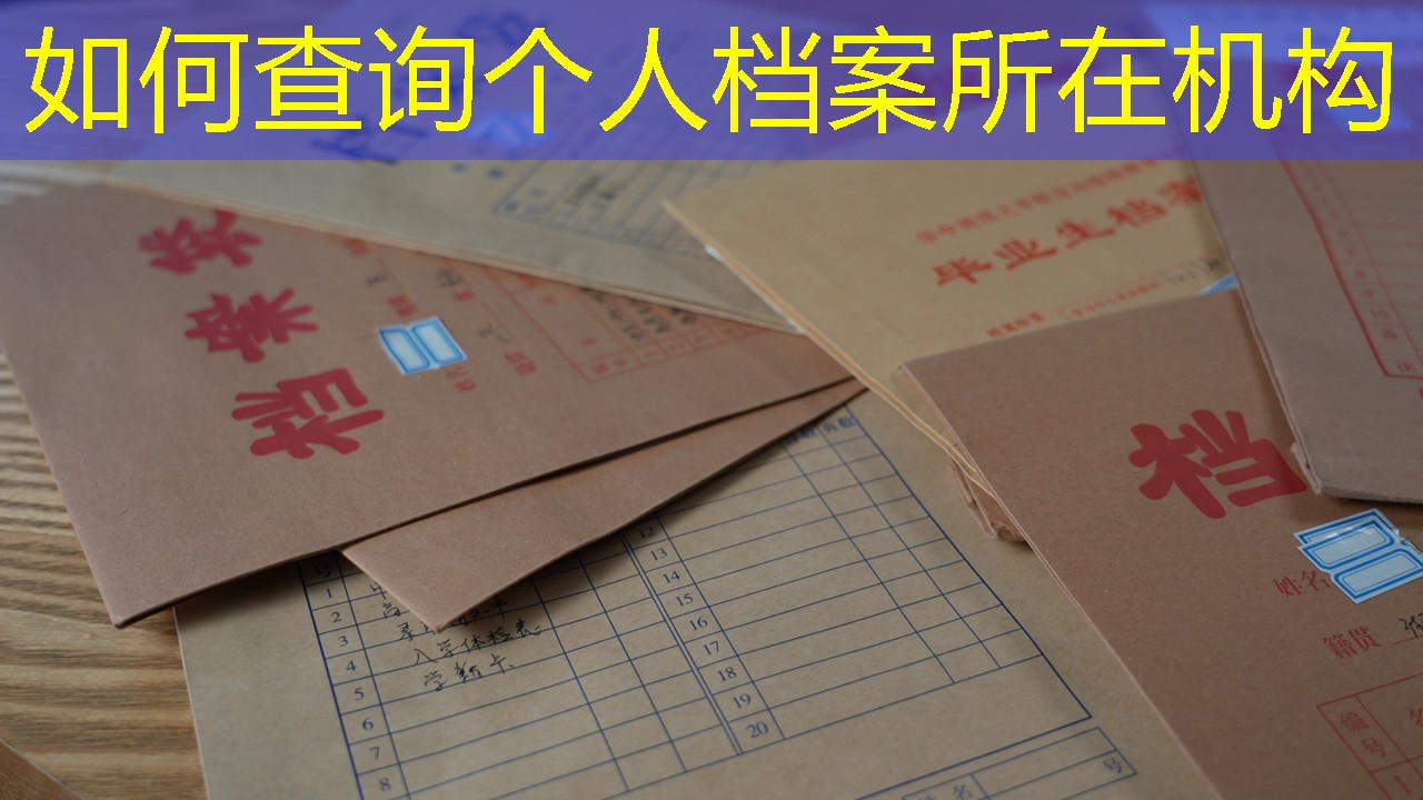 档案查询