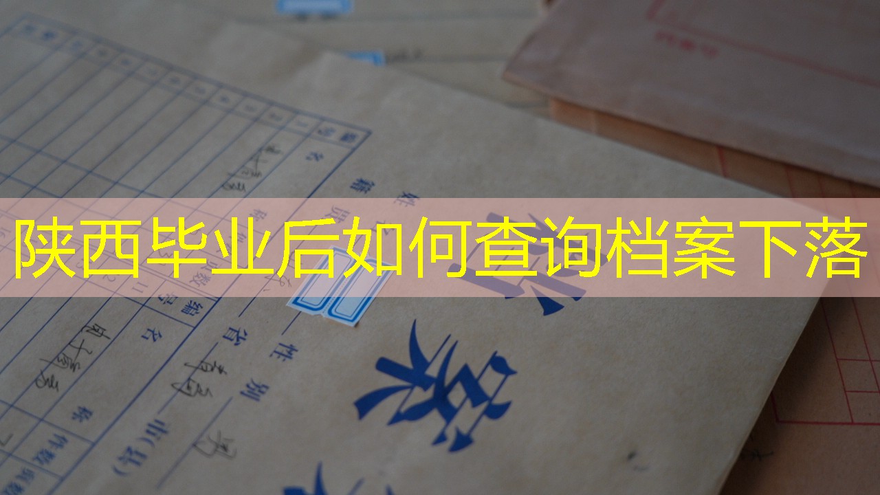档案查询