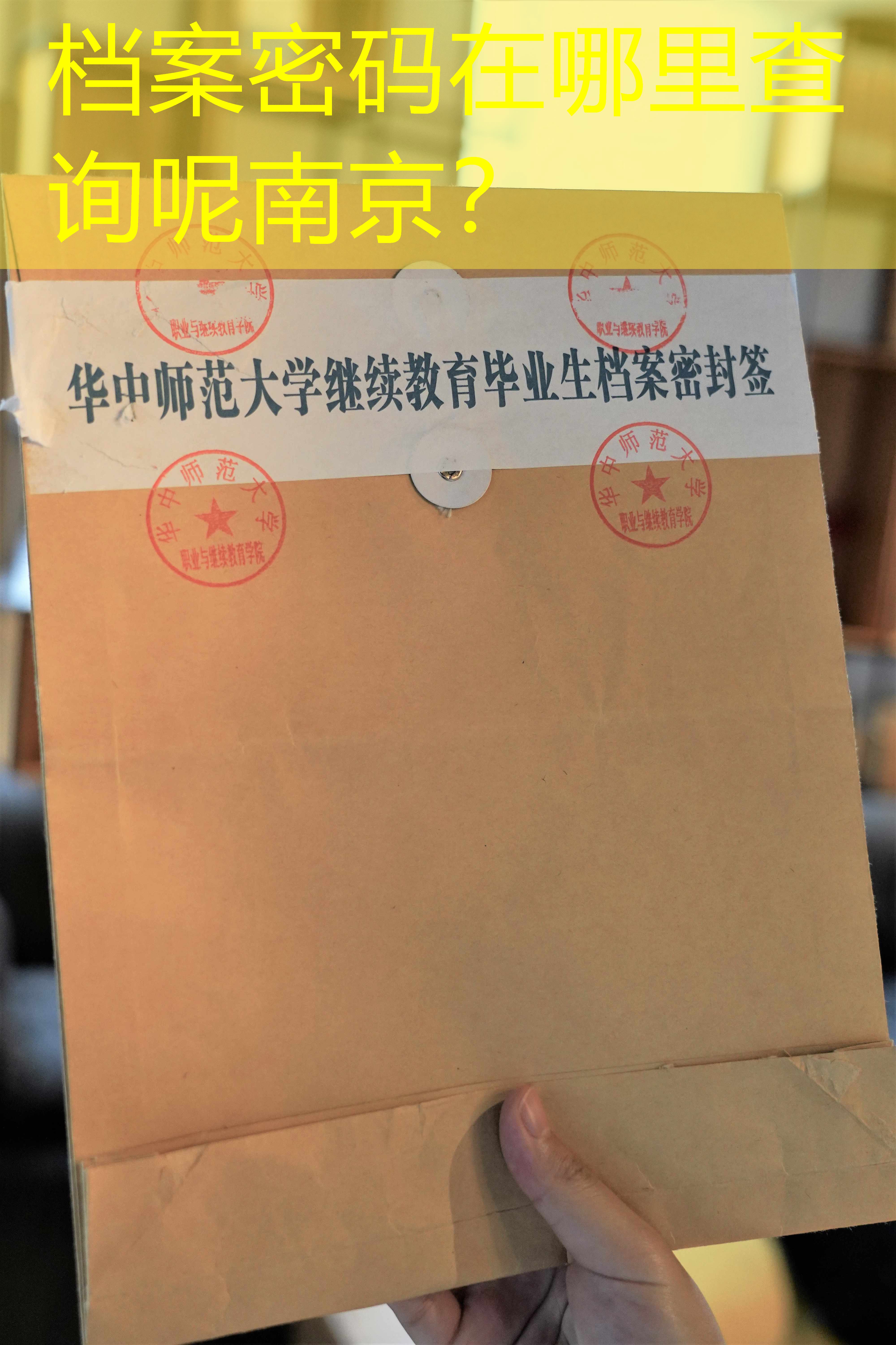 档案查询