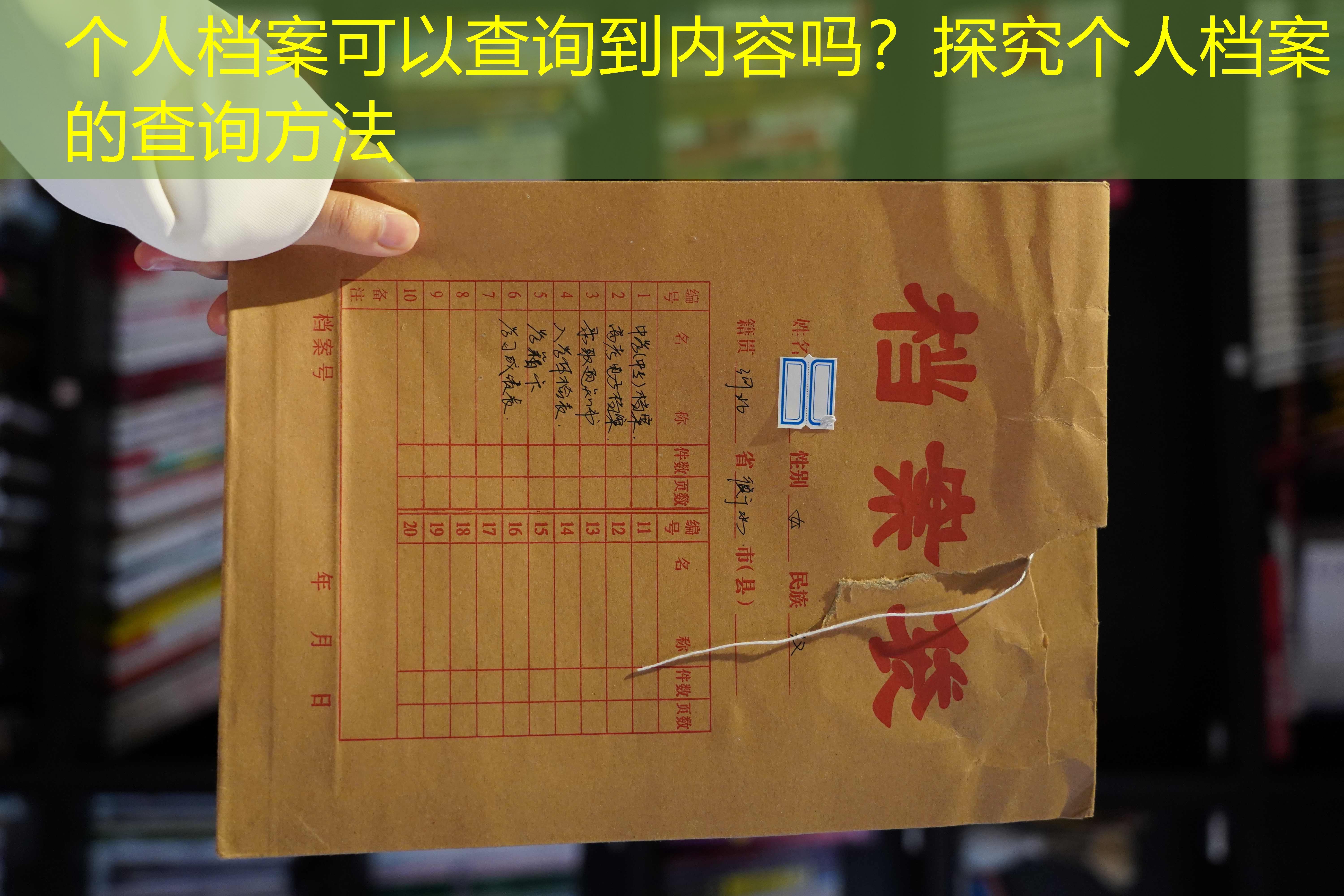 档案查询