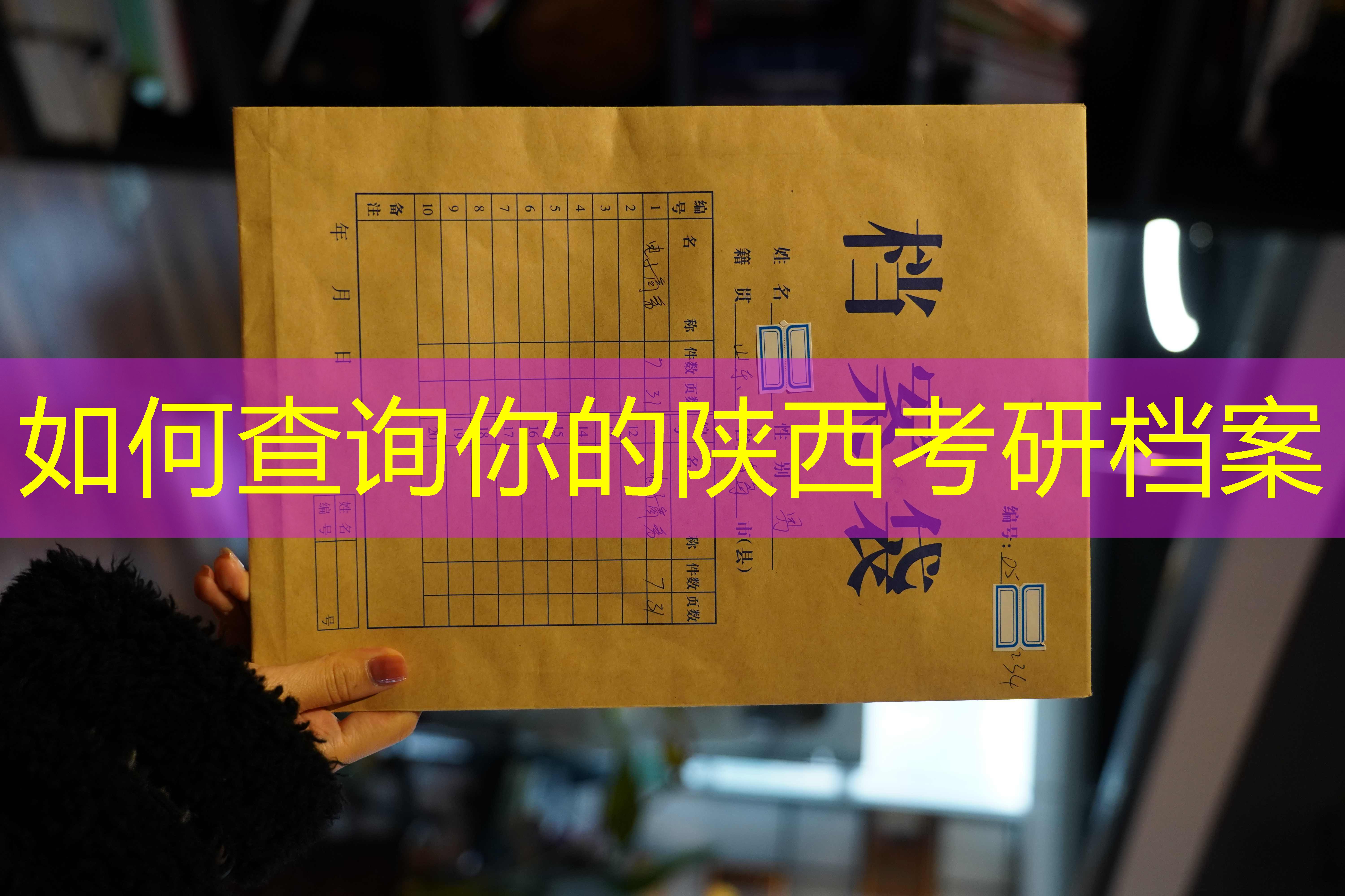 档案查询