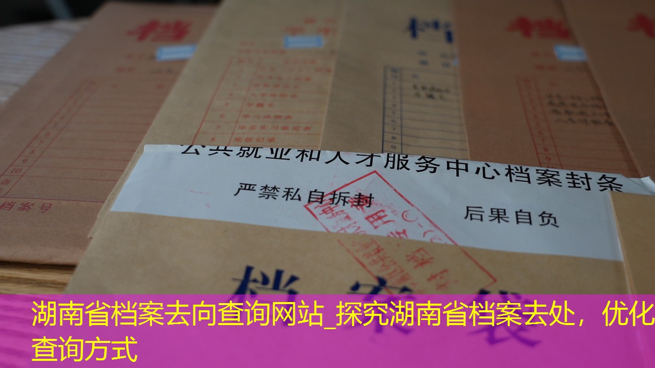 档案查询