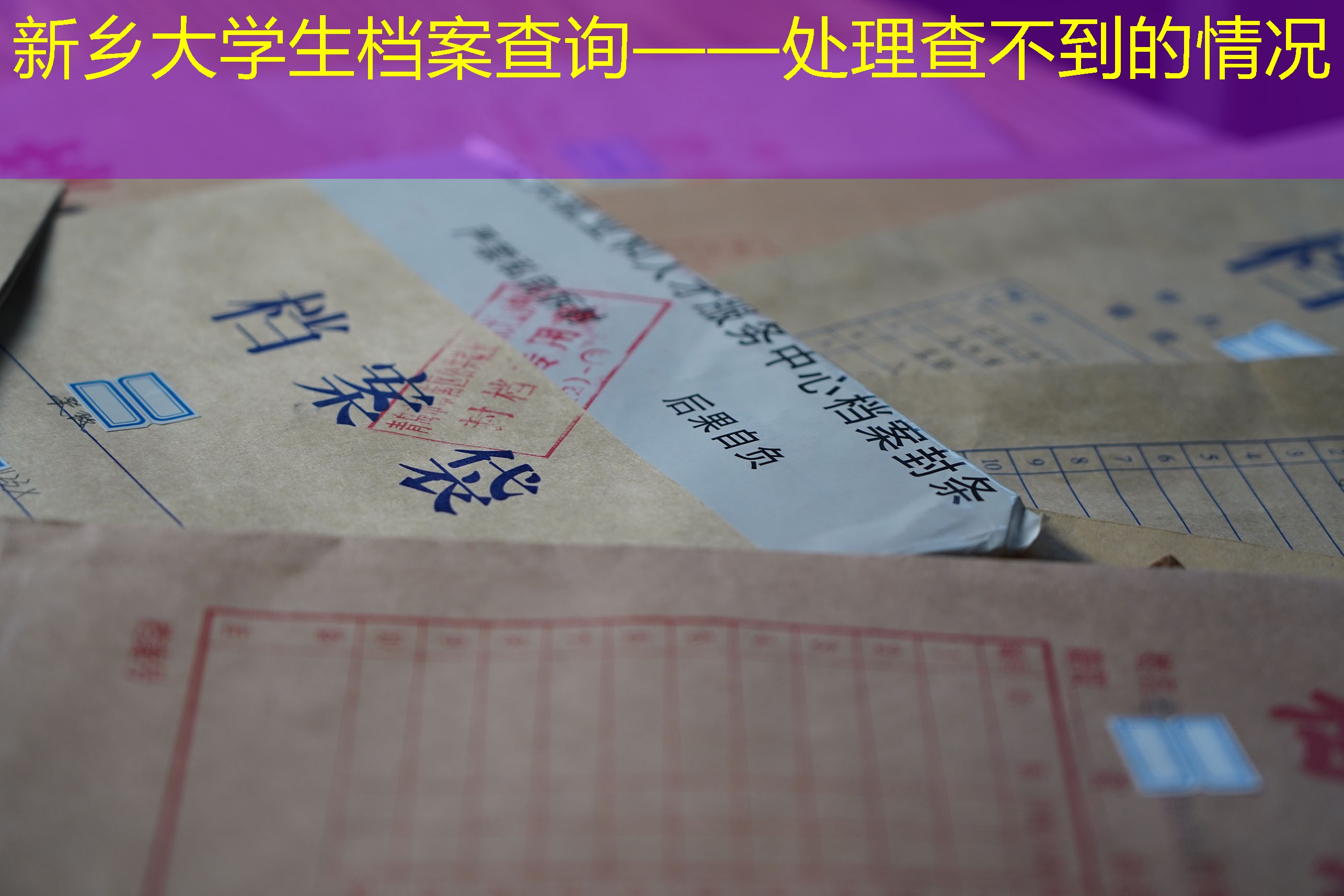 档案查询