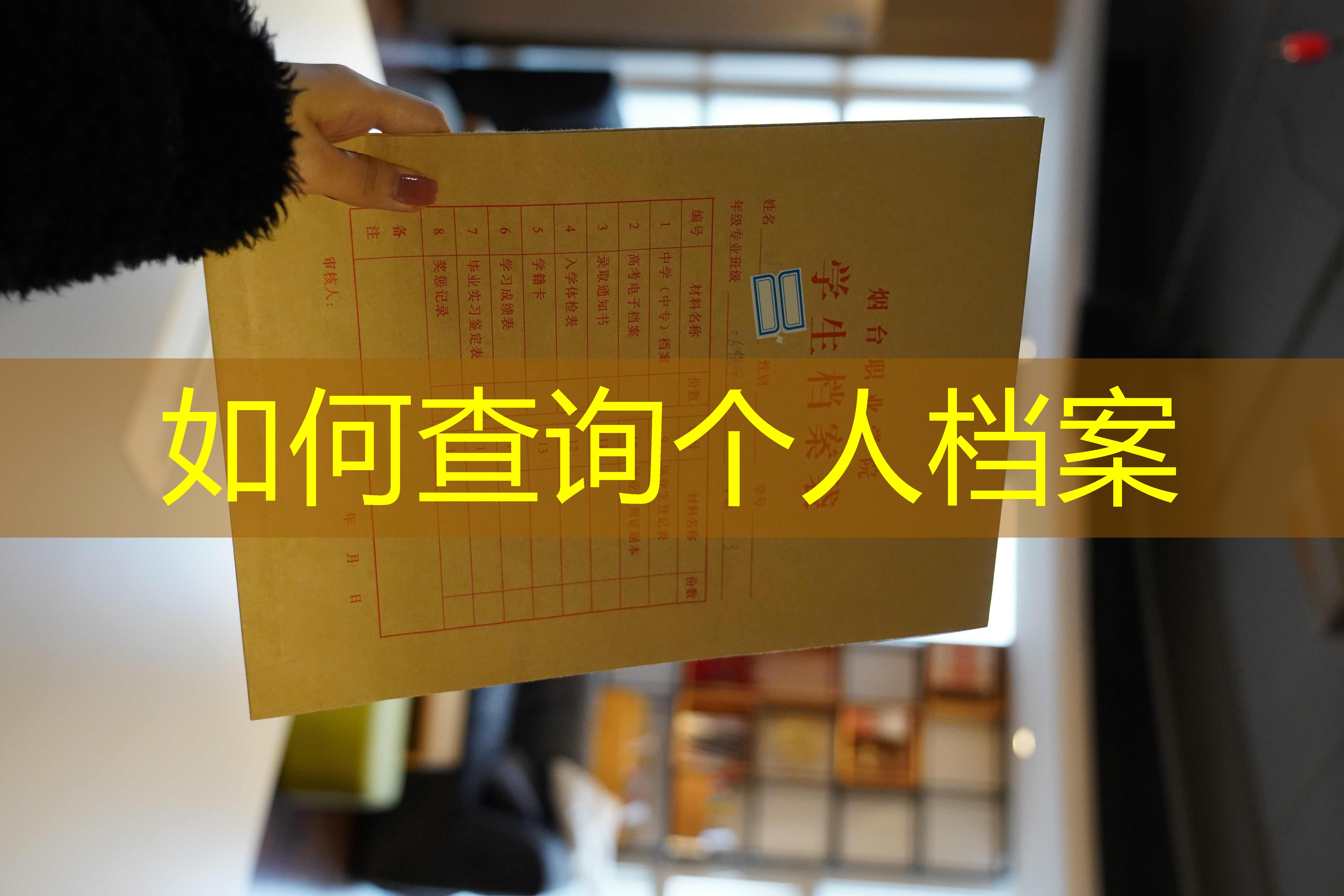 档案查询